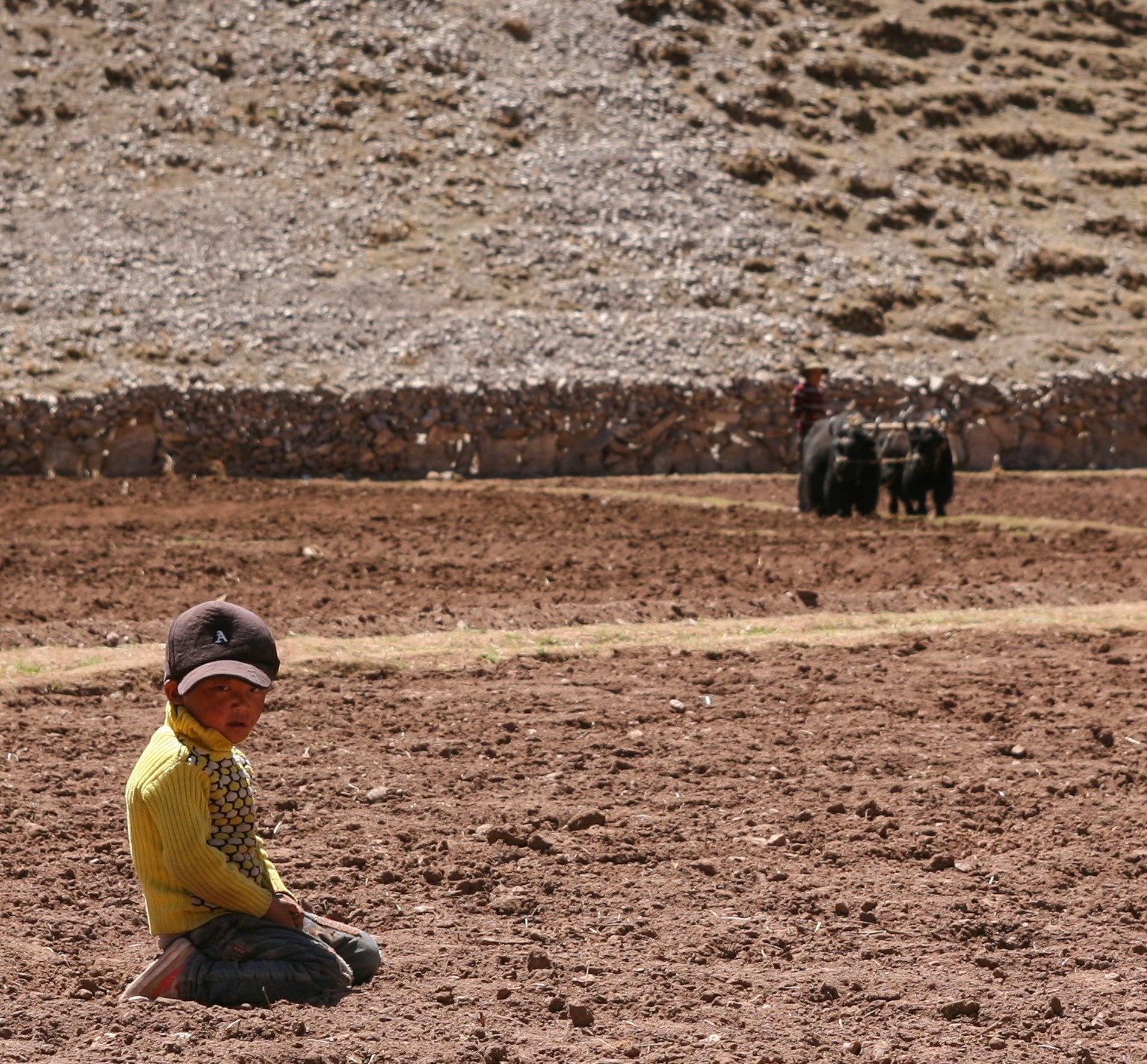 Du lich Tay Tang anh 86