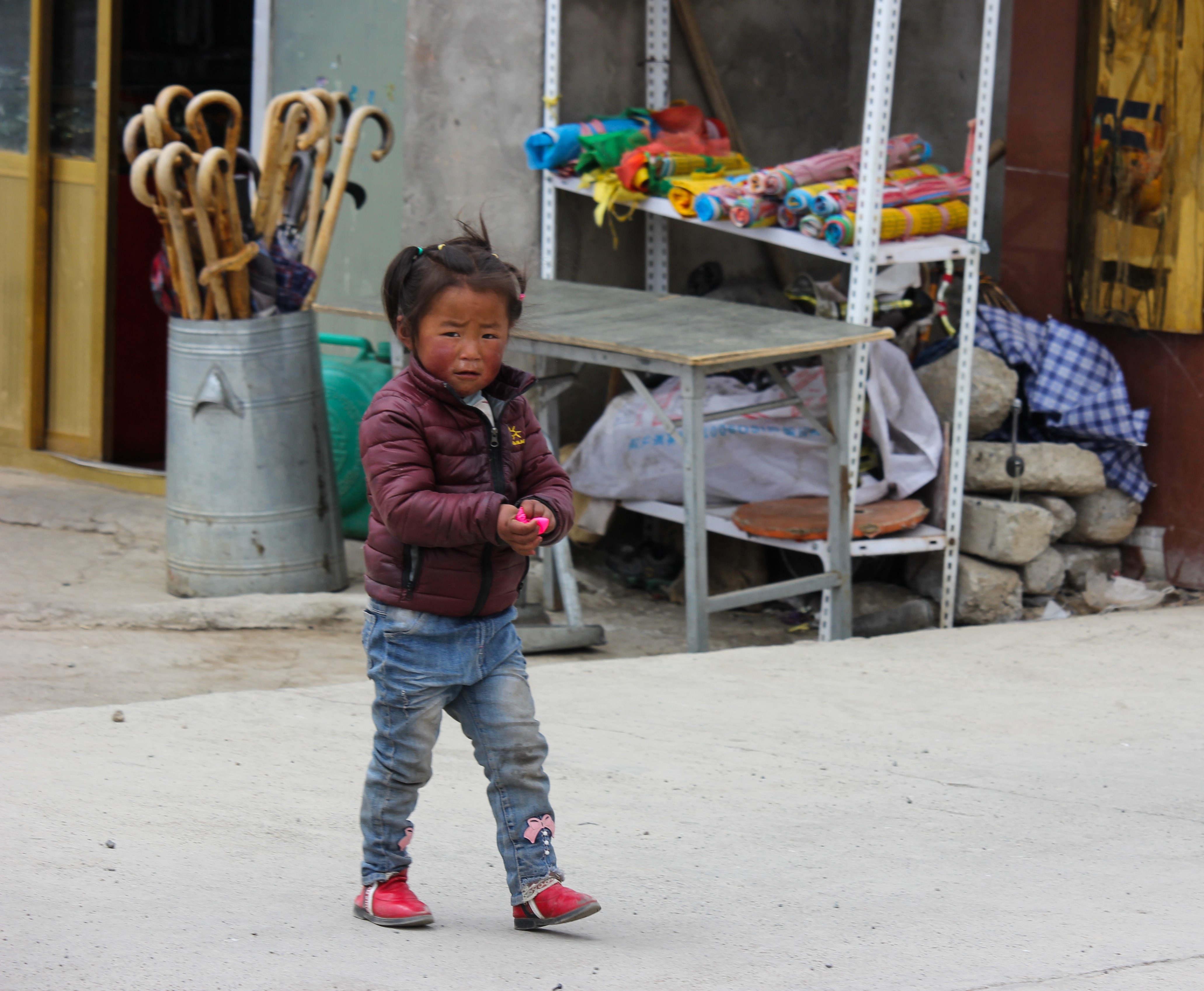 Du lich Tay Tang anh 89