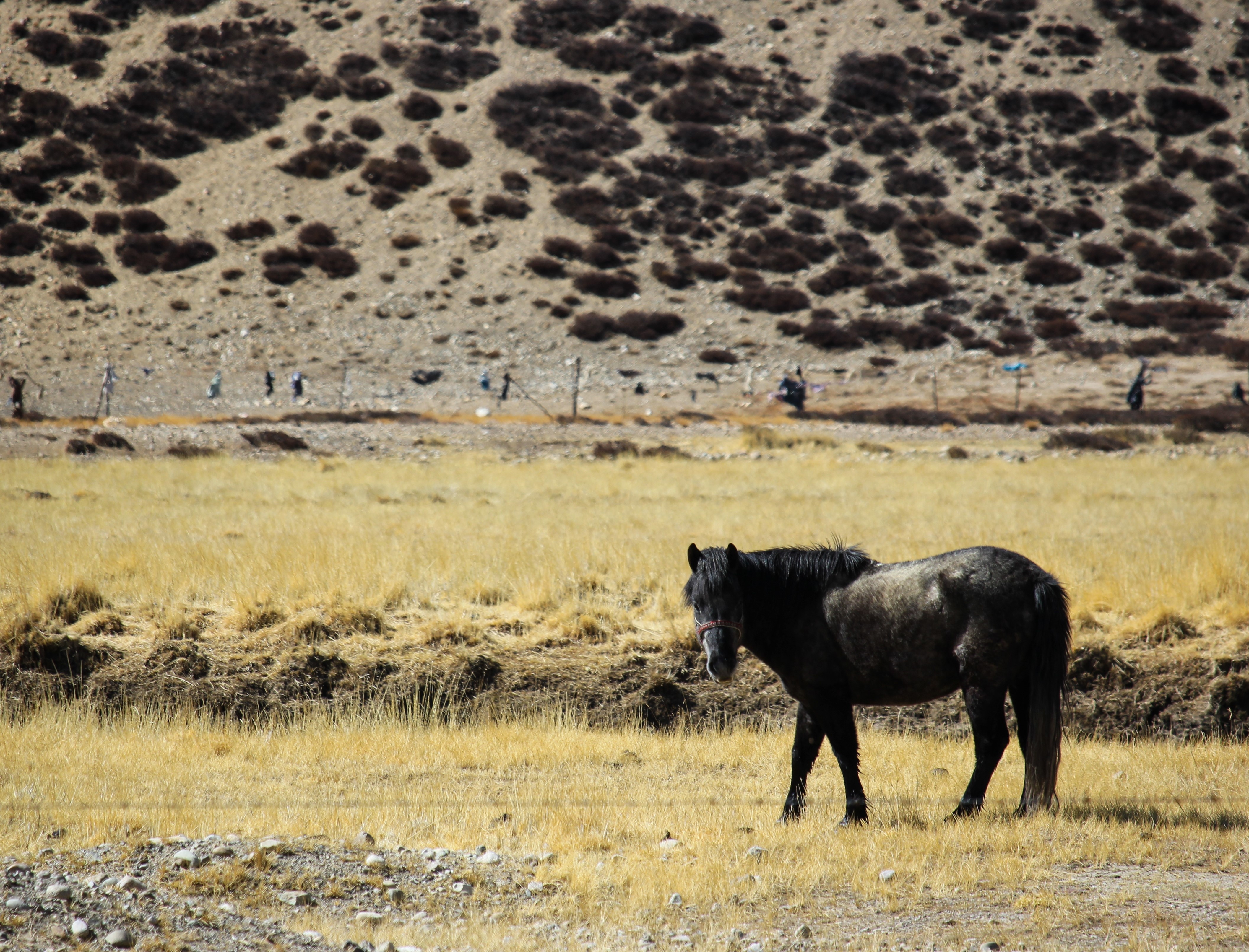 Du lich Tay Tang anh 14