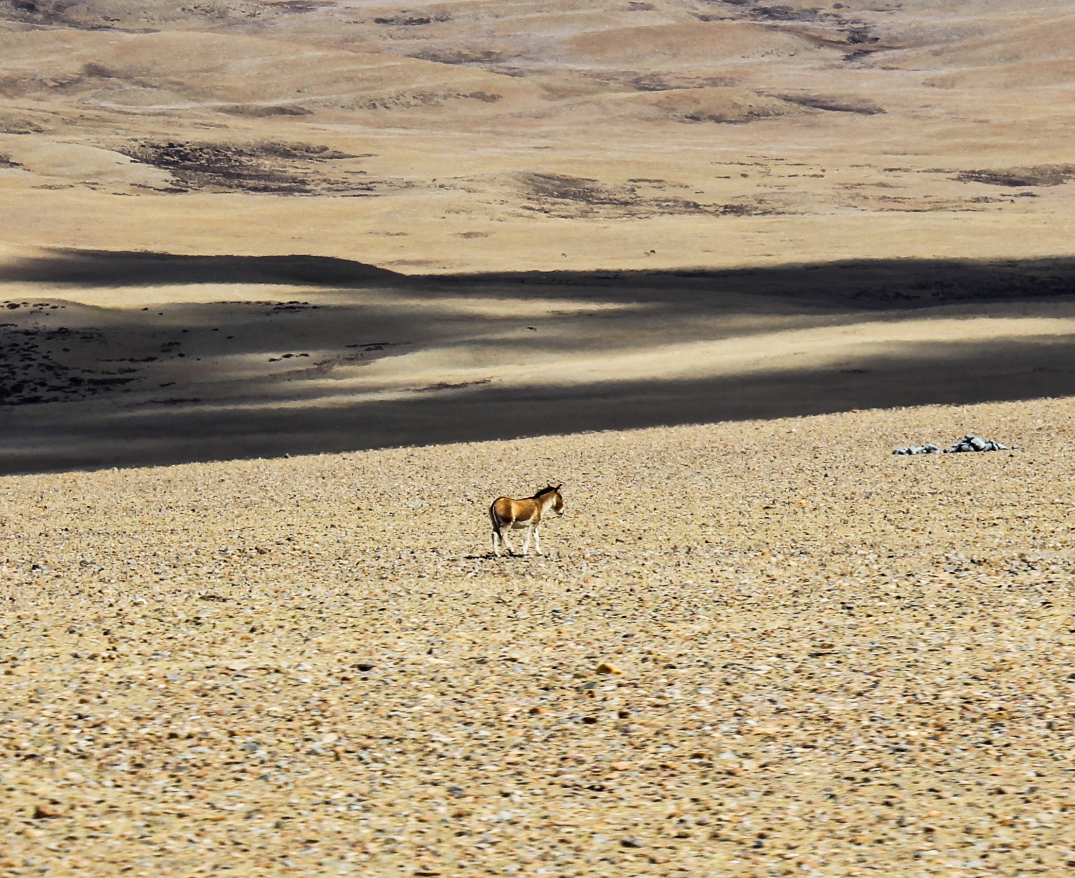 Du lich Tay Tang anh 15