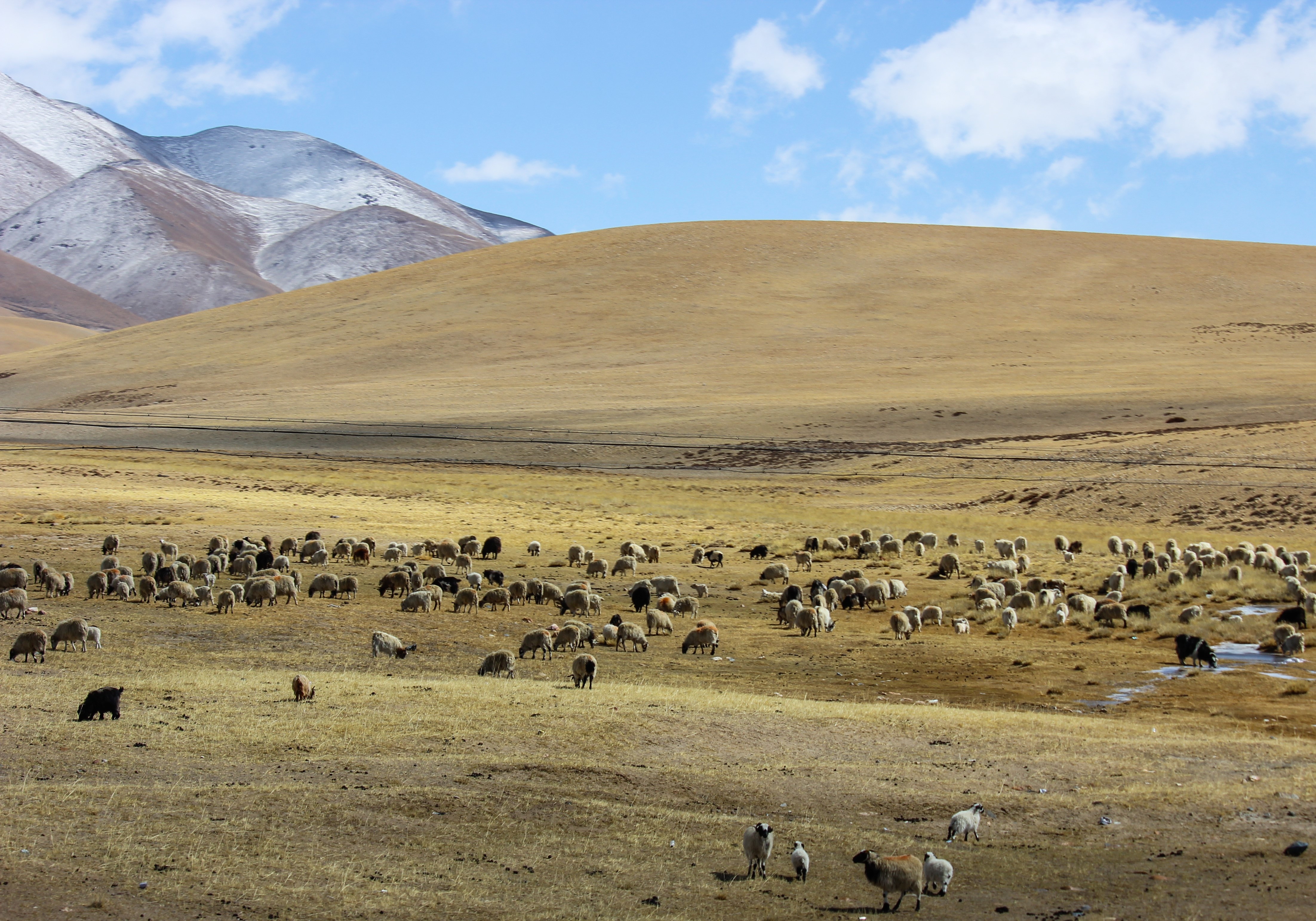 Du lich Tay Tang anh 16