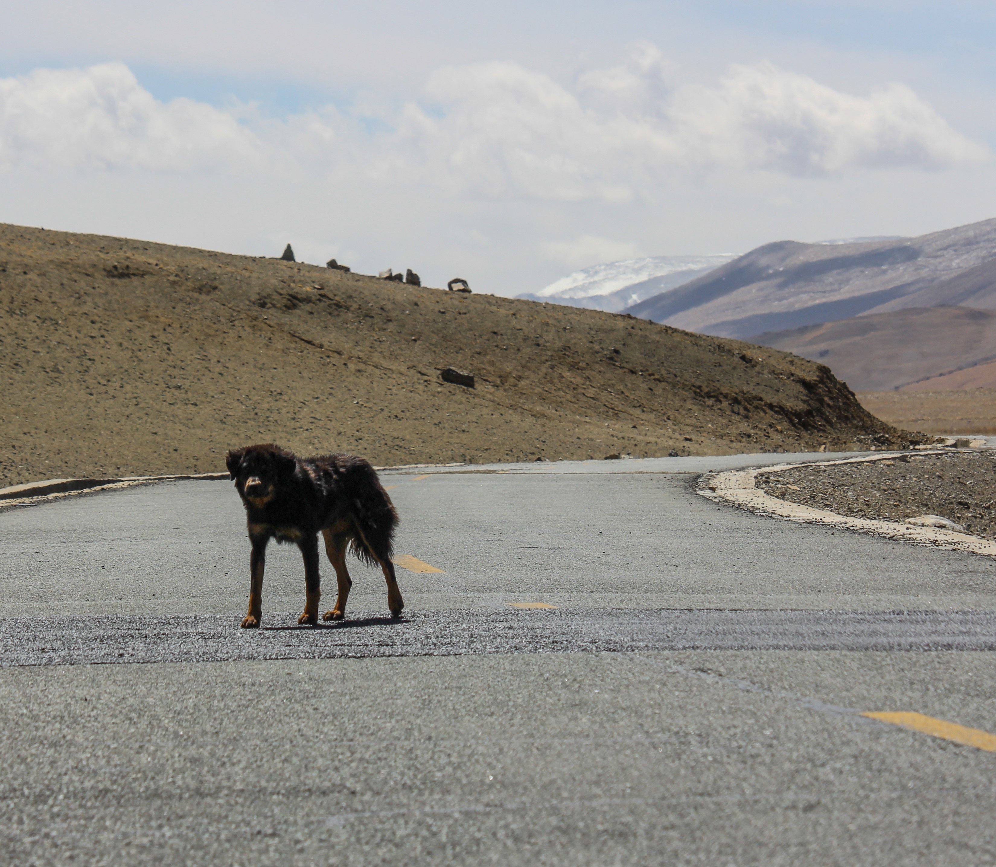 Du lich Tay Tang anh 17