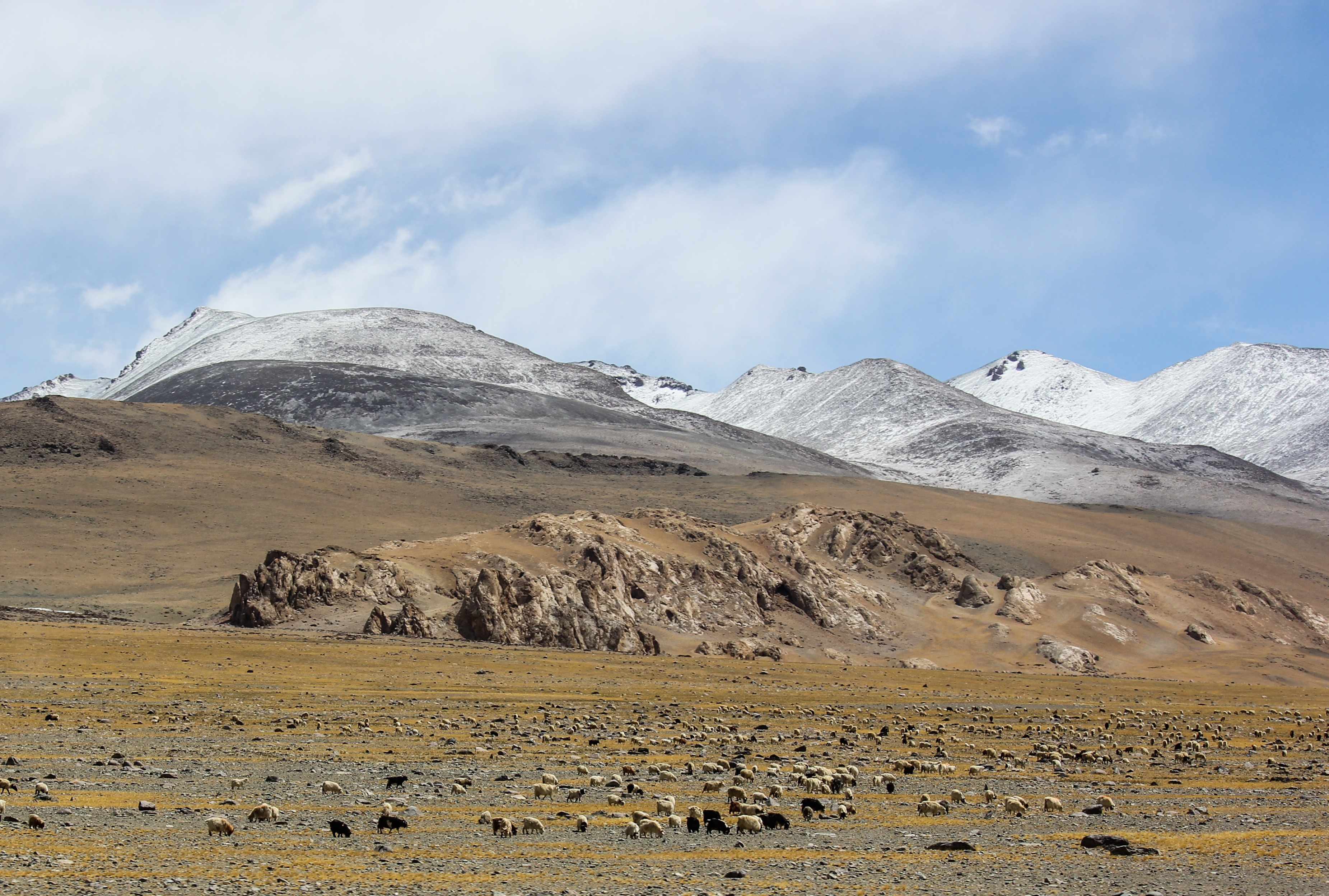 Du lich Tay Tang anh 18