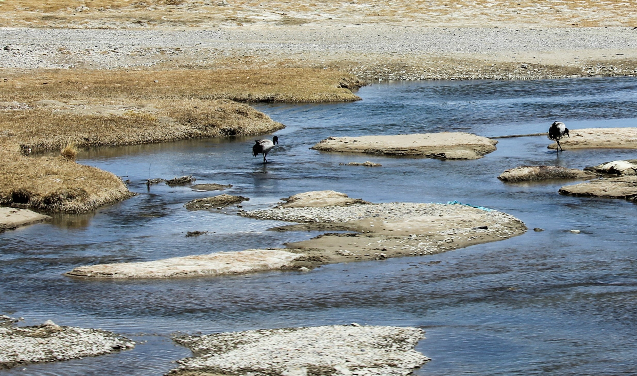 Du lich Tay Tang anh 19