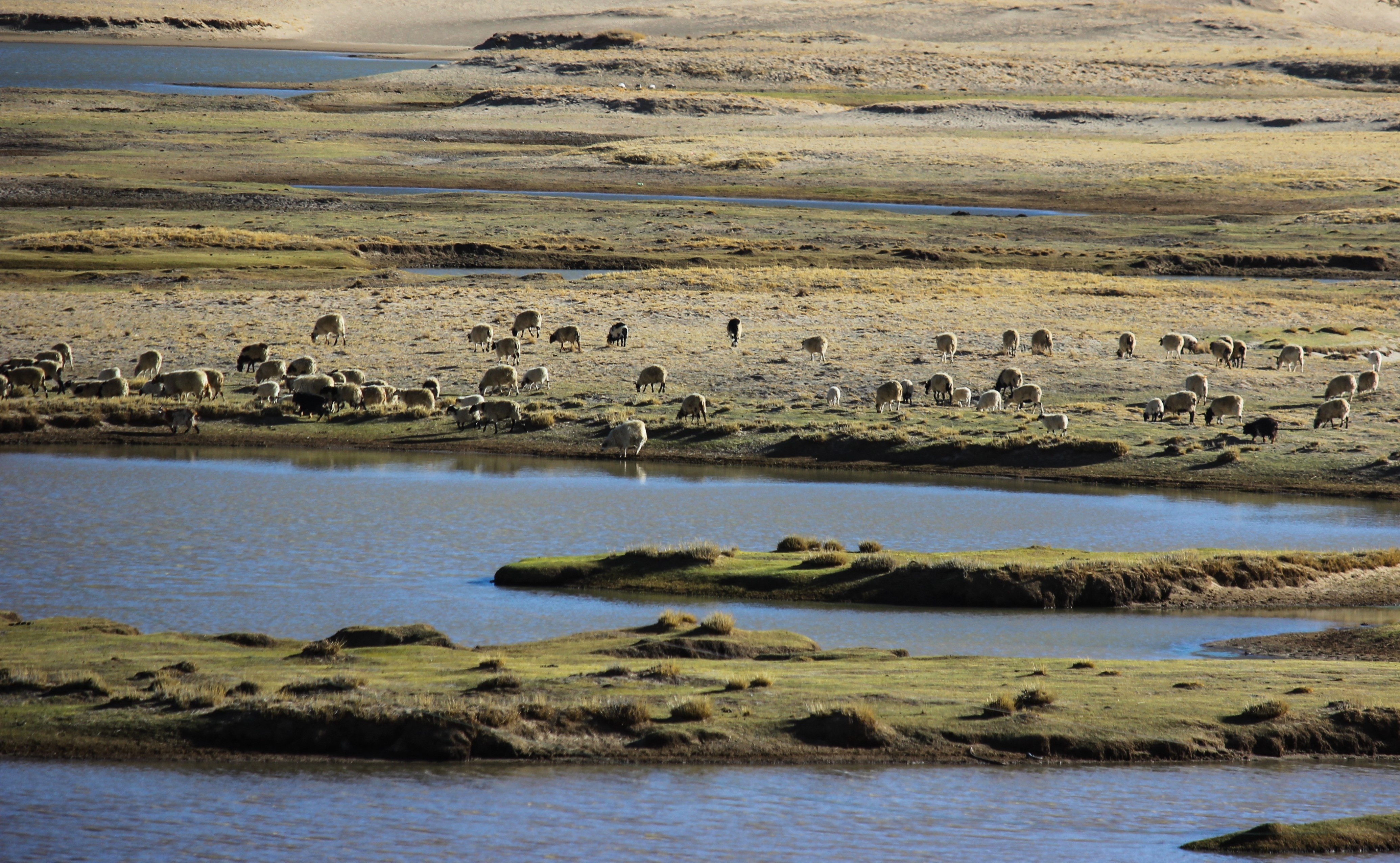 Du lich Tay Tang anh 27