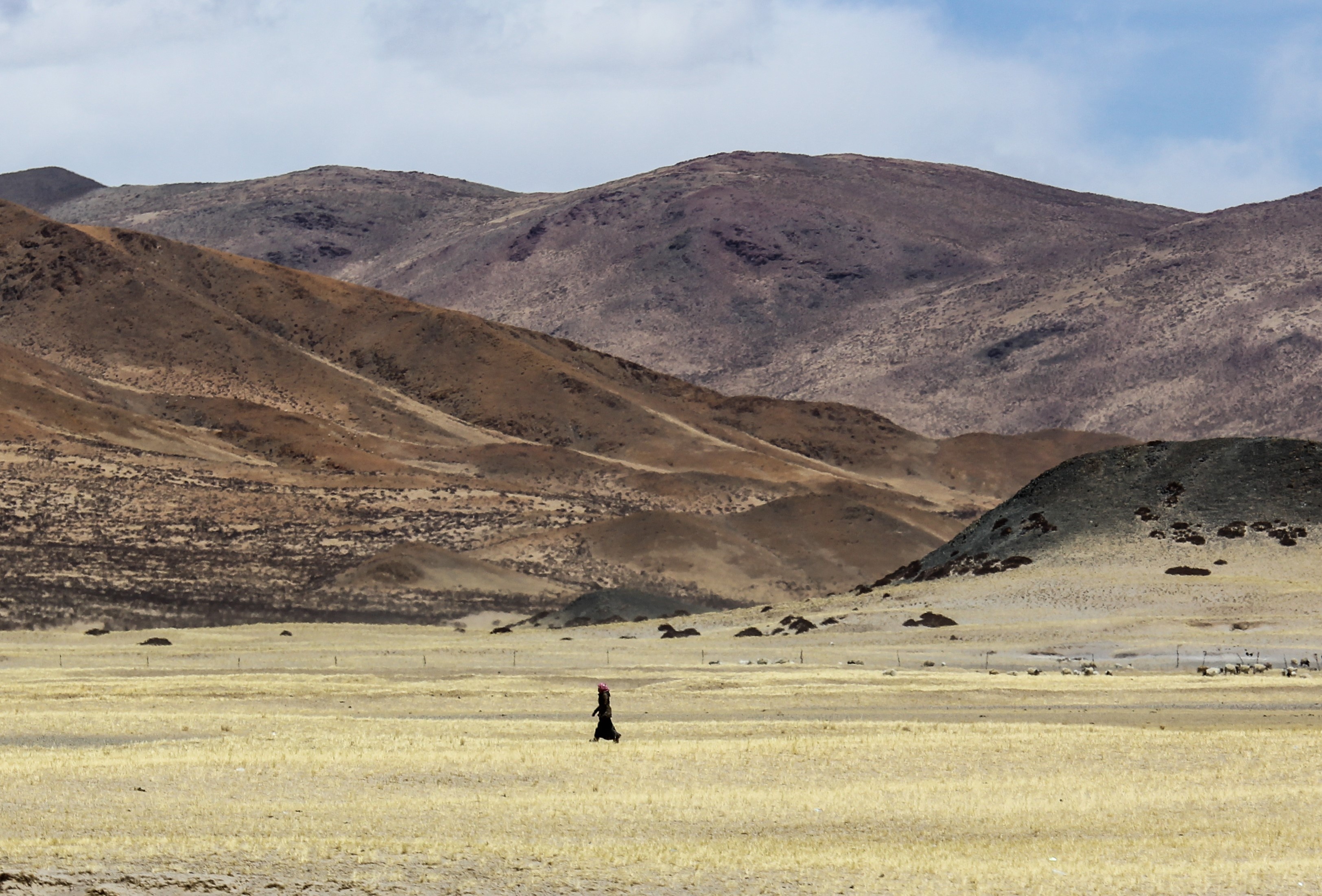 Du lich Tay Tang anh 24