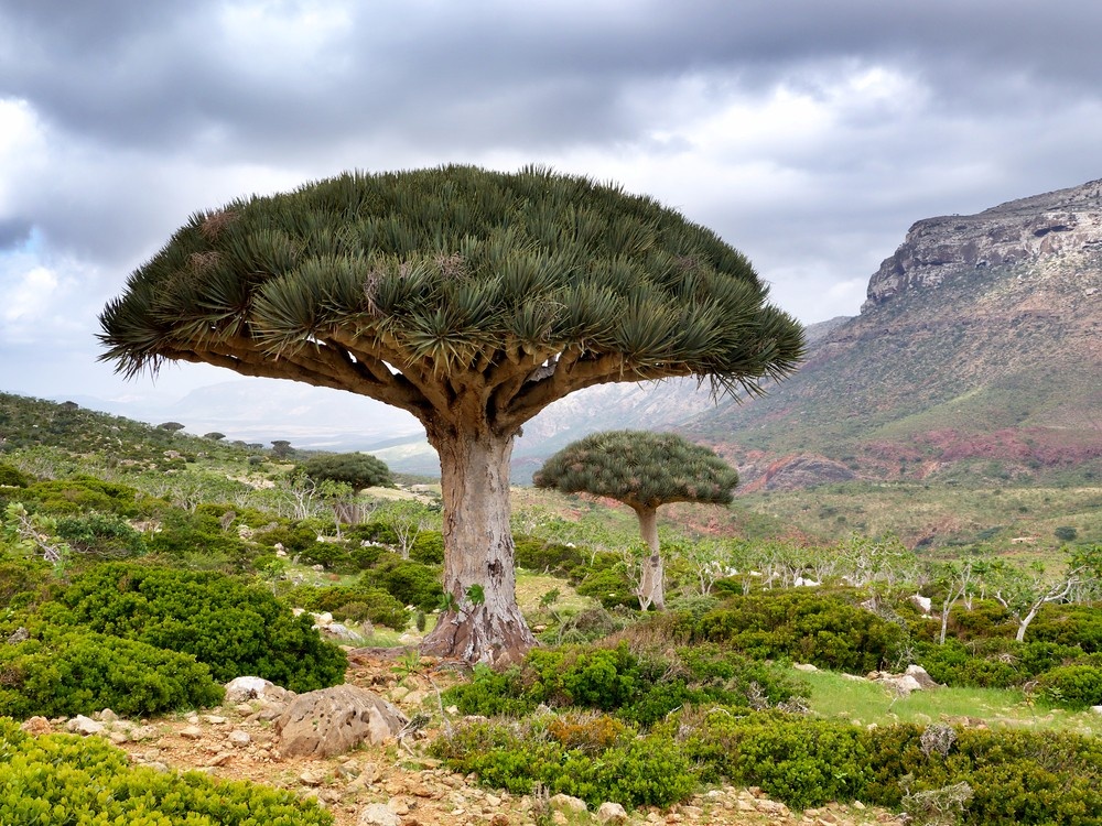 Dia diem du lich anh 8