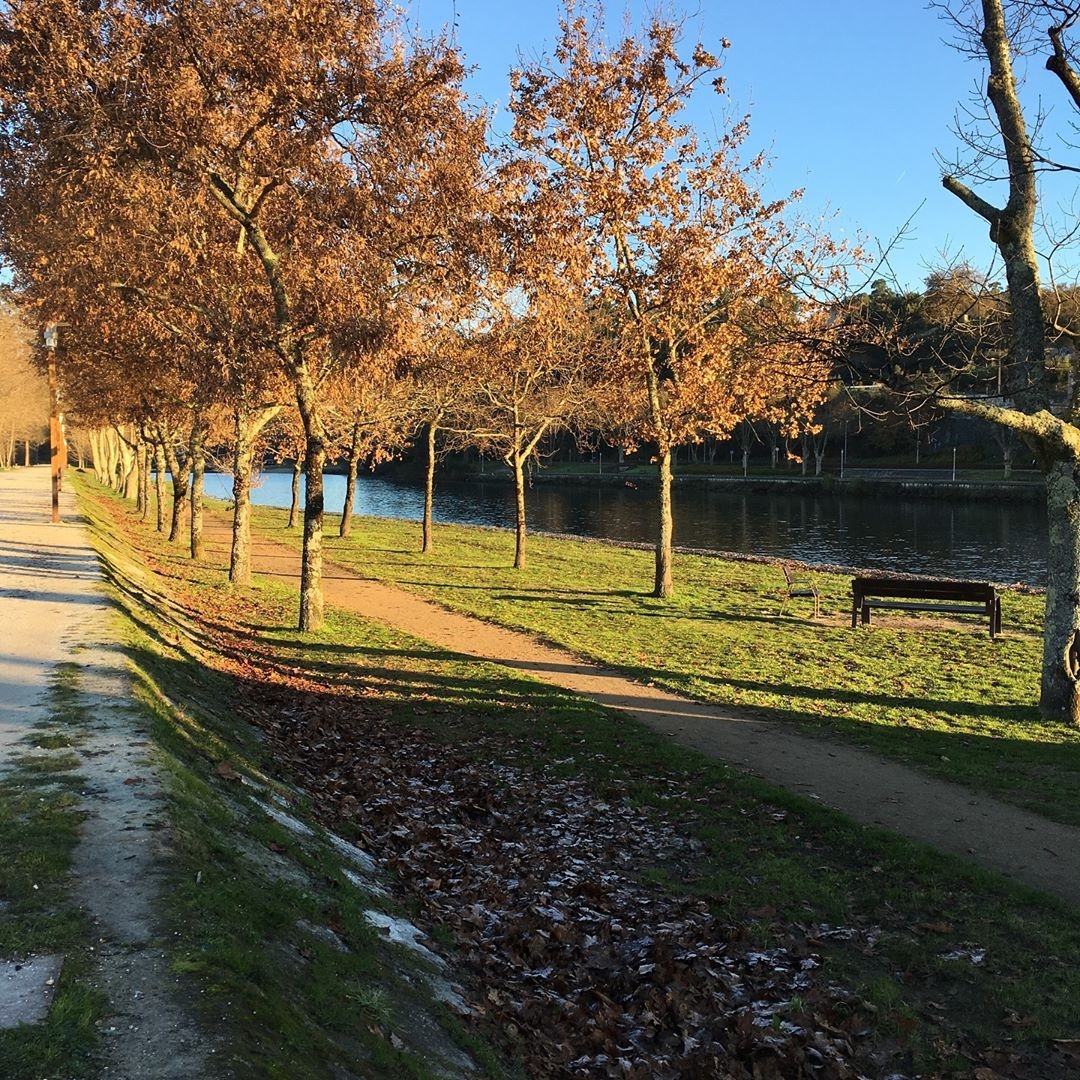 Thanh pho khong dong co anh 15