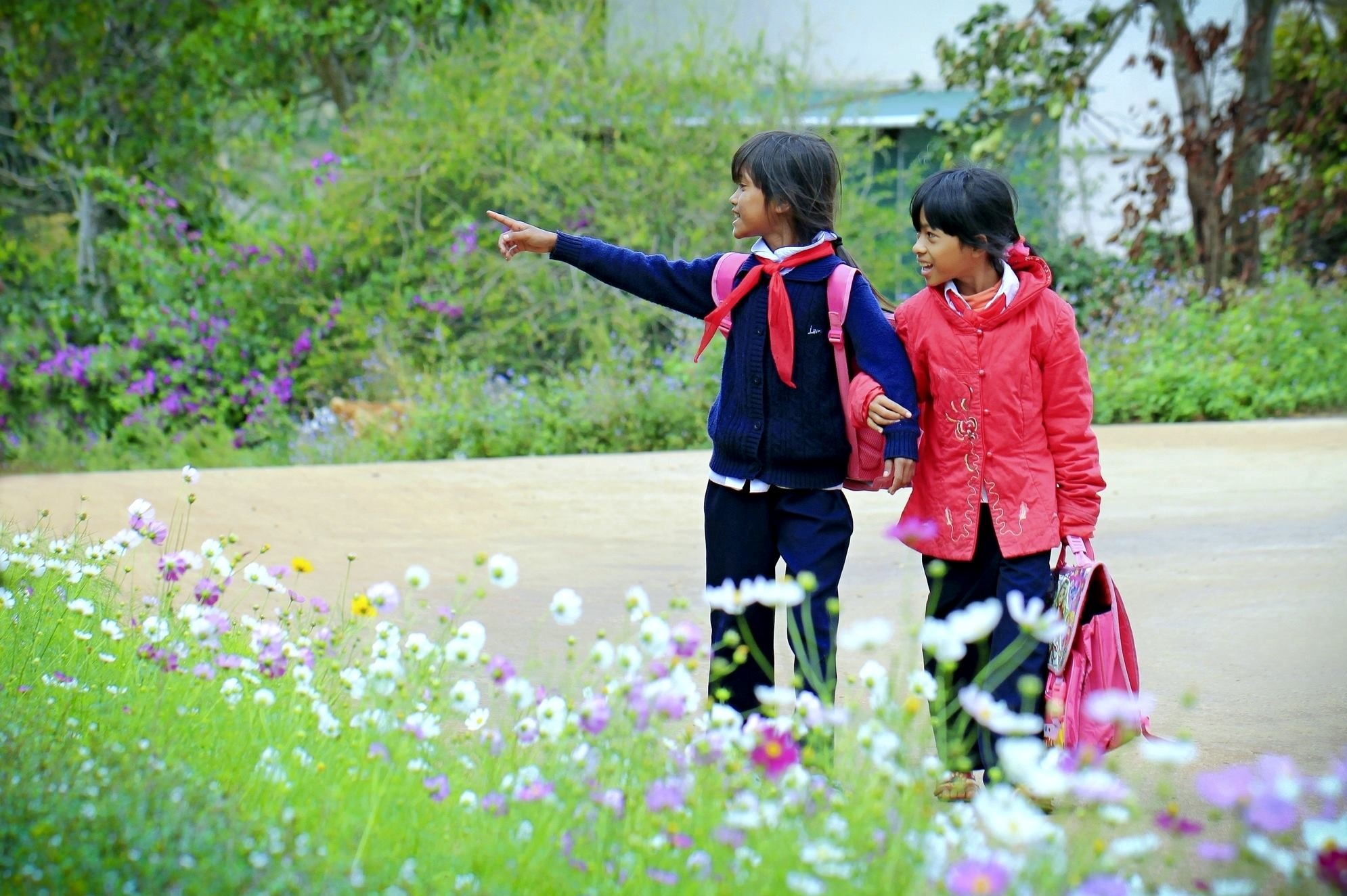 Du lich Da Lat anh 48