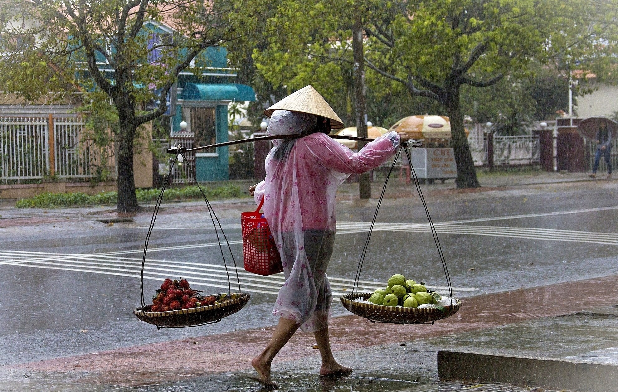 Du lich Da Lat anh 49