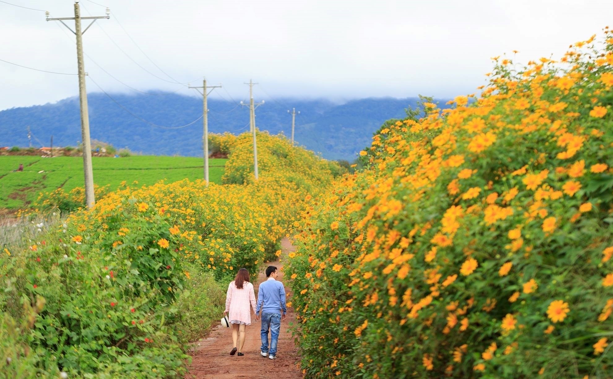 Du lich Da Lat anh 56