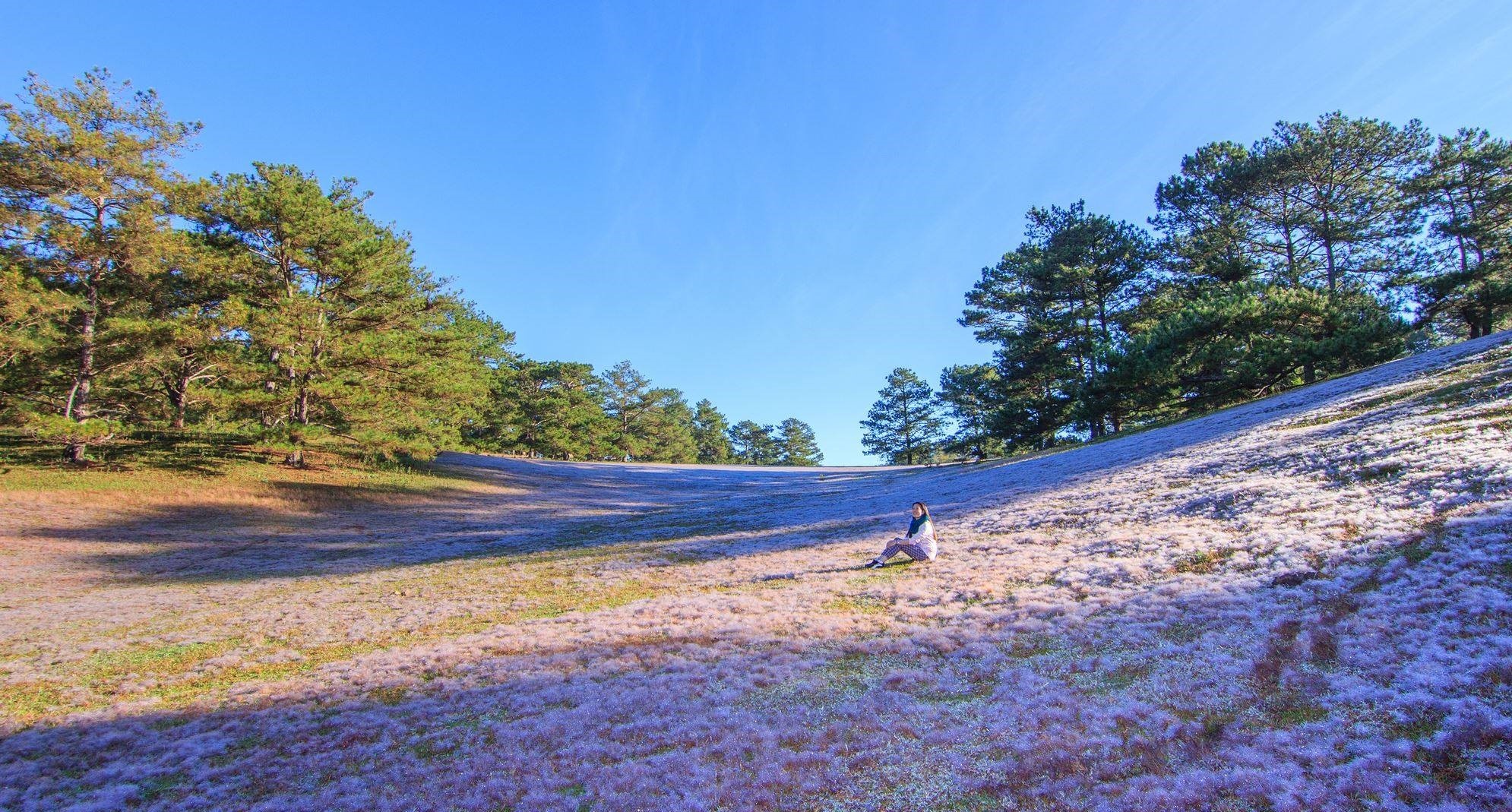 Du lich Da Lat anh 57