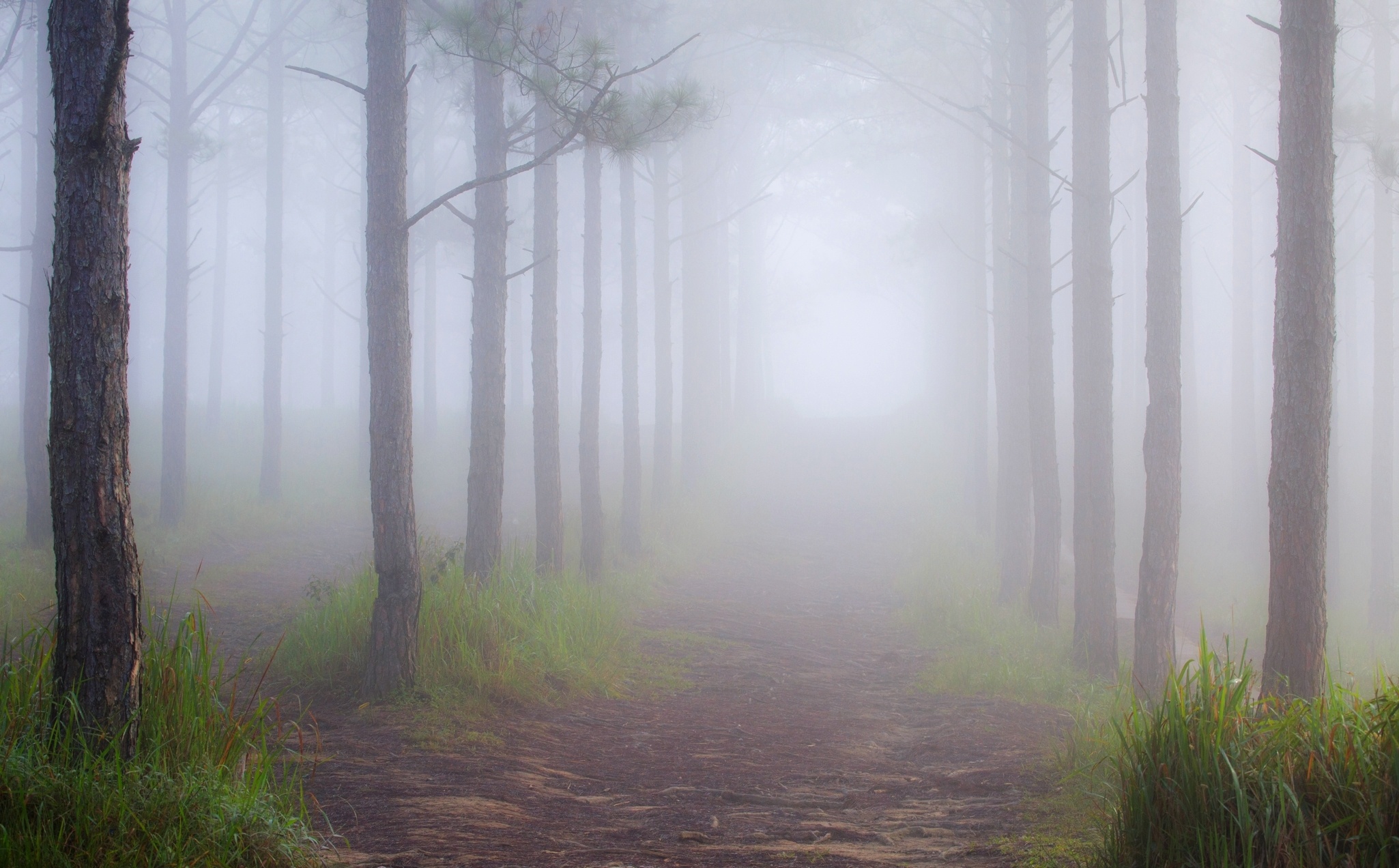 Du lich Da Lat anh 21