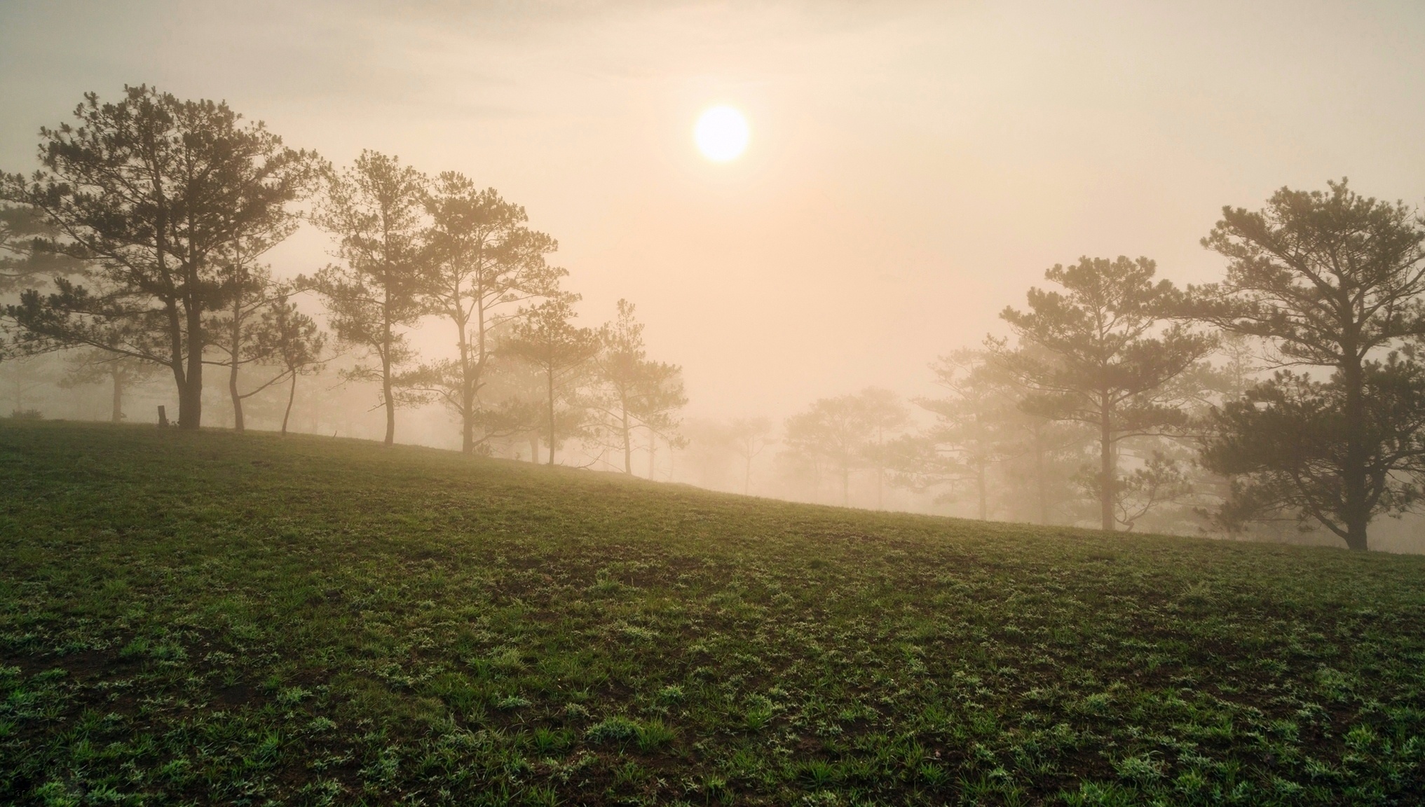 Du lich Da Lat anh 2