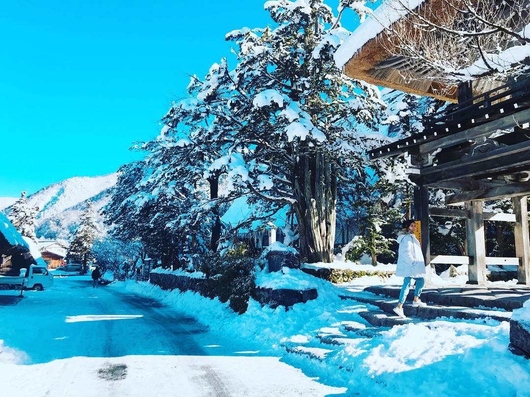 Du lich Nhat Ban anh 4