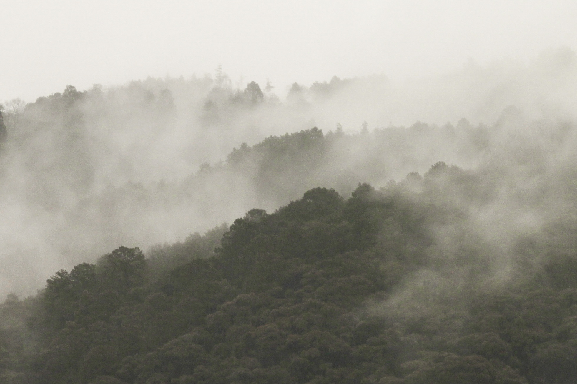 Du lich Nhat Ban anh 67