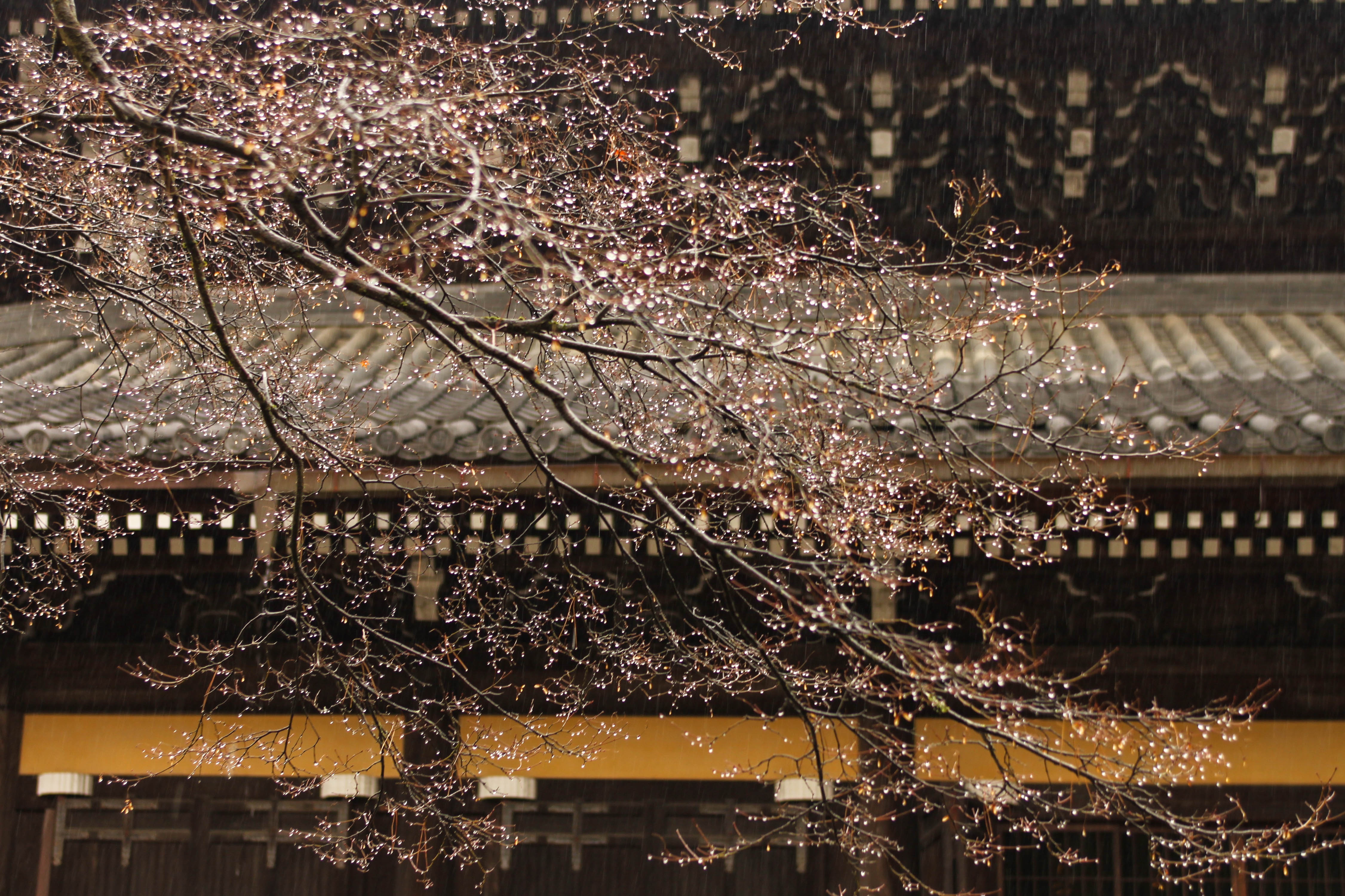 Du lich Nhat Ban anh 69