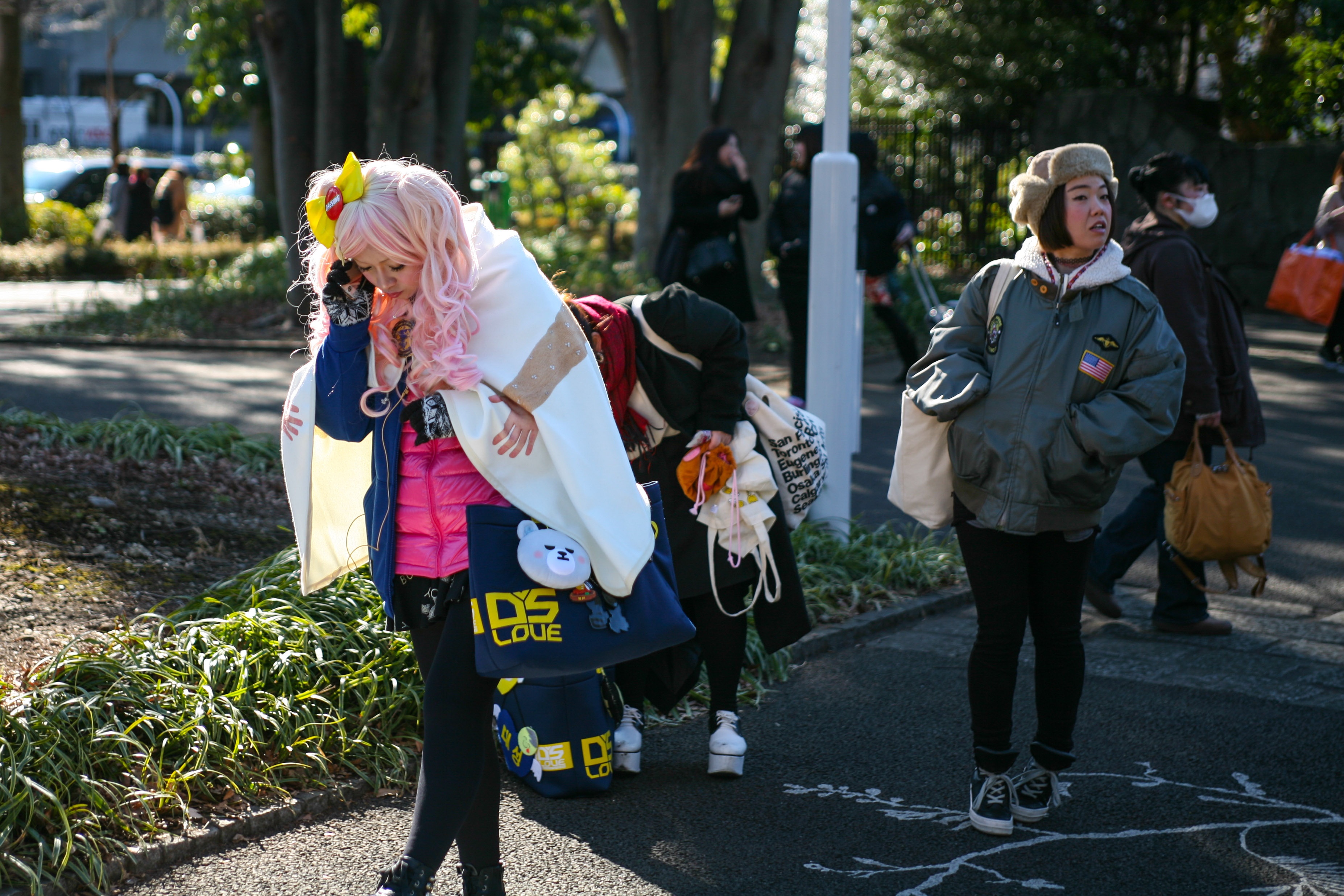 Du lich Nhat Ban anh 12