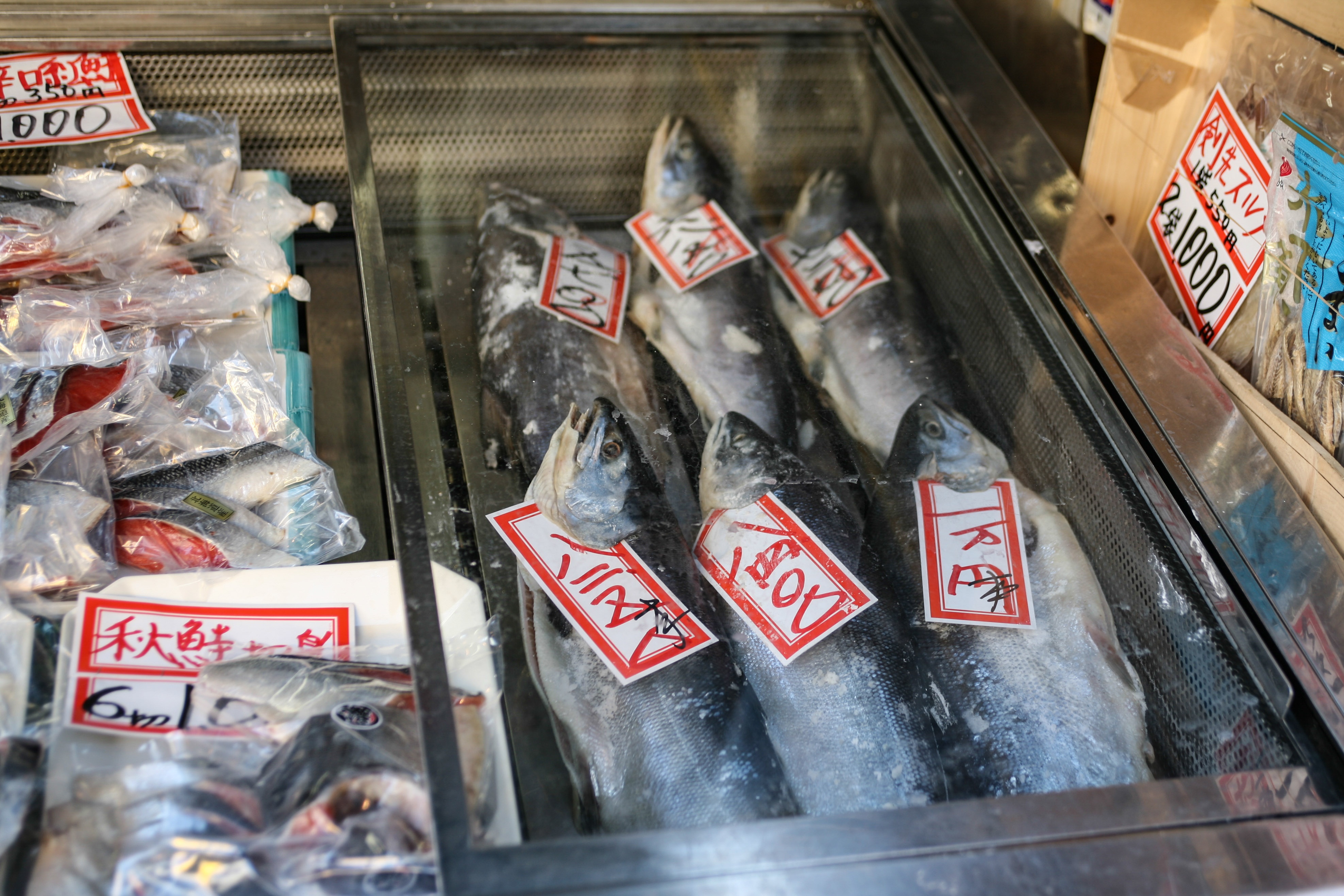 Du lich Nhat Ban anh 17