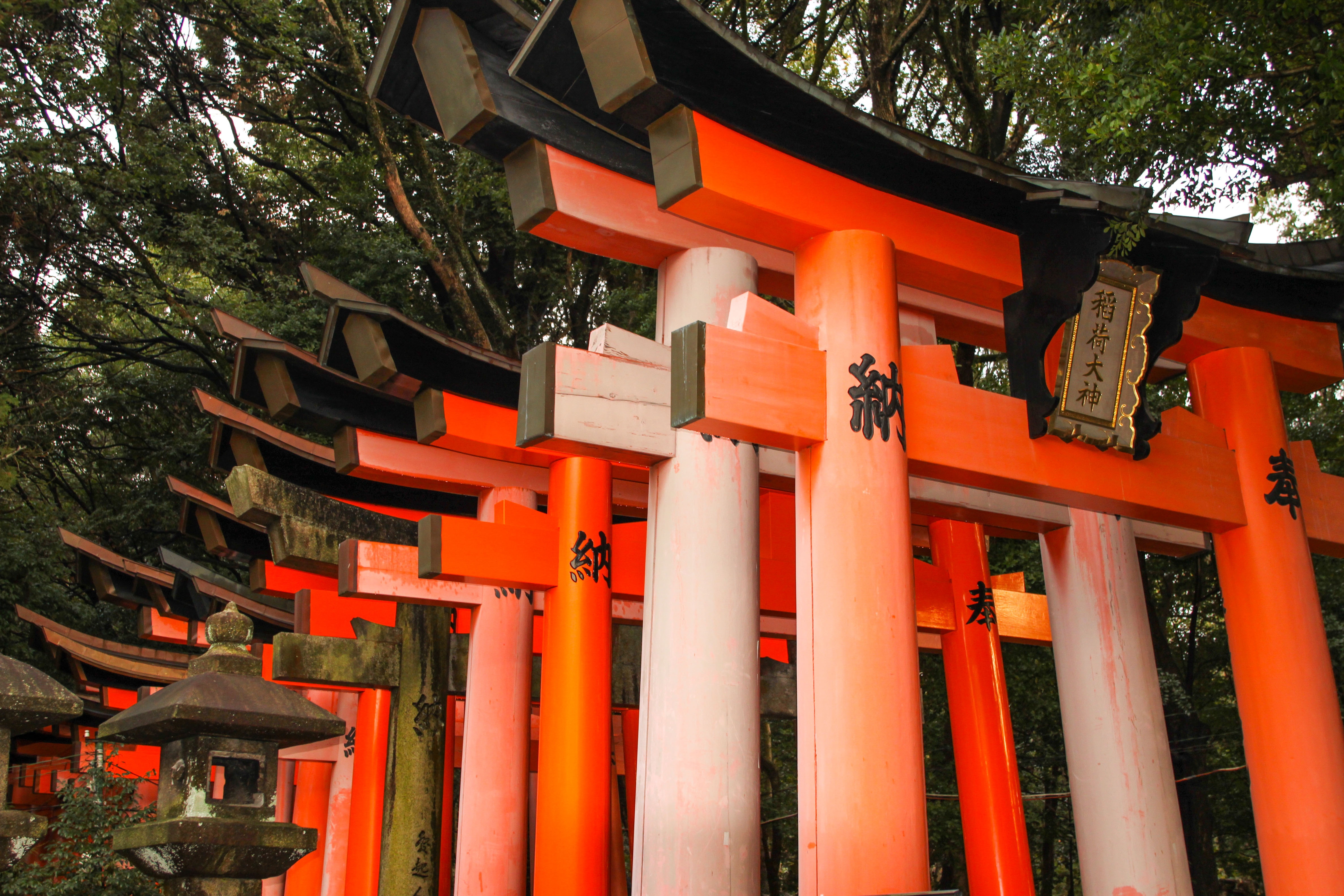 Du lich Nhat Ban anh 102