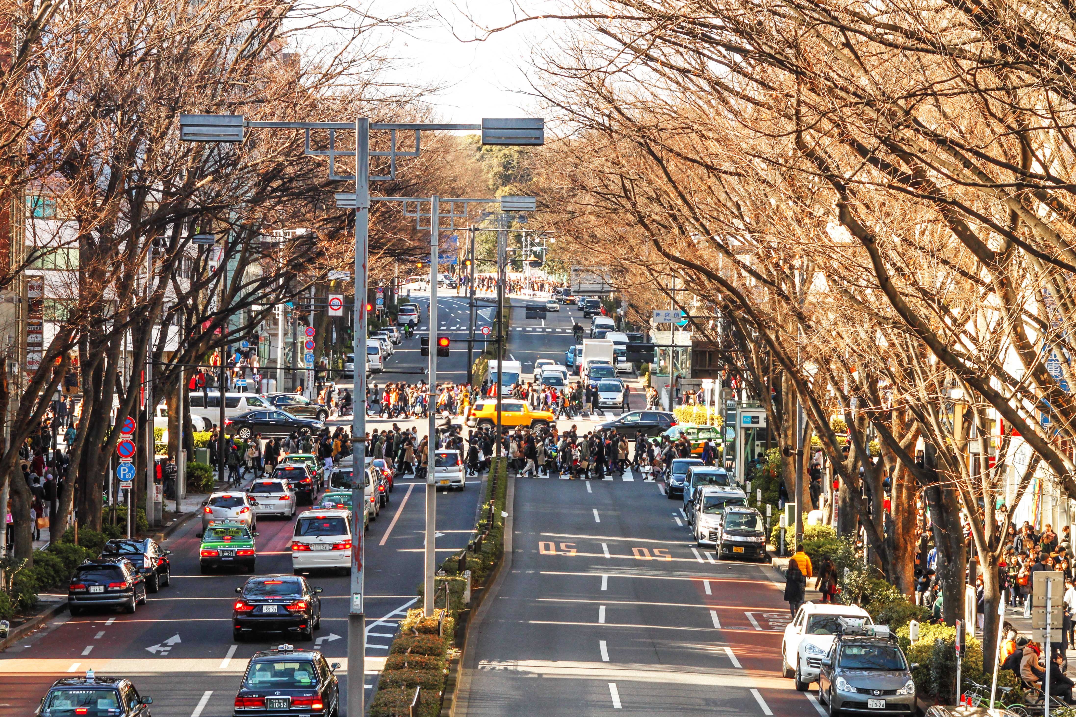 Tokyo va hanh trinh kham pha nhip song thuong ngay o Nhat Ban hinh anh