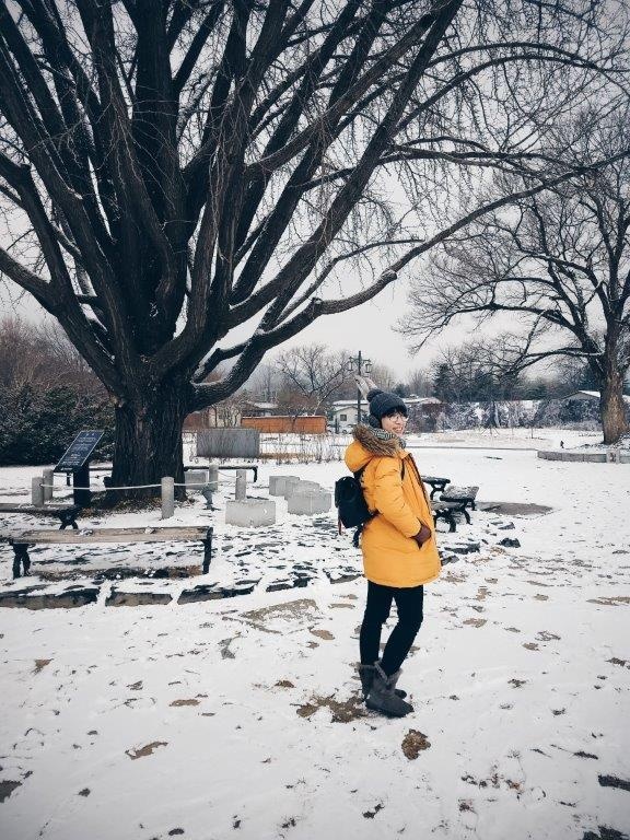 Du lịch Hàn Quốc ảnh 33 Du lich Han Quoc anh 33