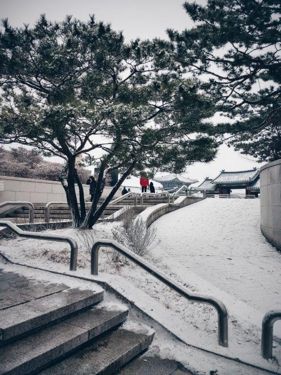 Du lịch Hàn Quốc ảnh 3 Du lich Han Quoc anh 3