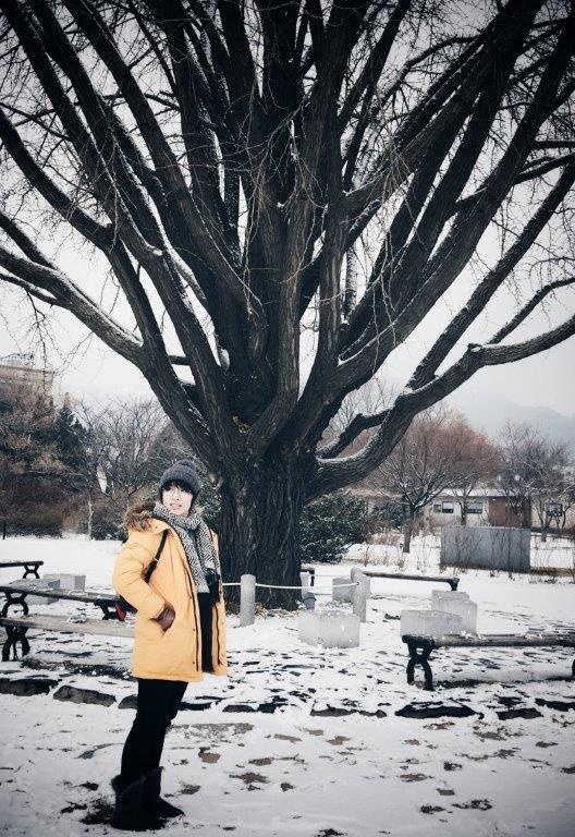 Du lịch Hàn Quốc ảnh 35 Du lich Han Quoc anh 35