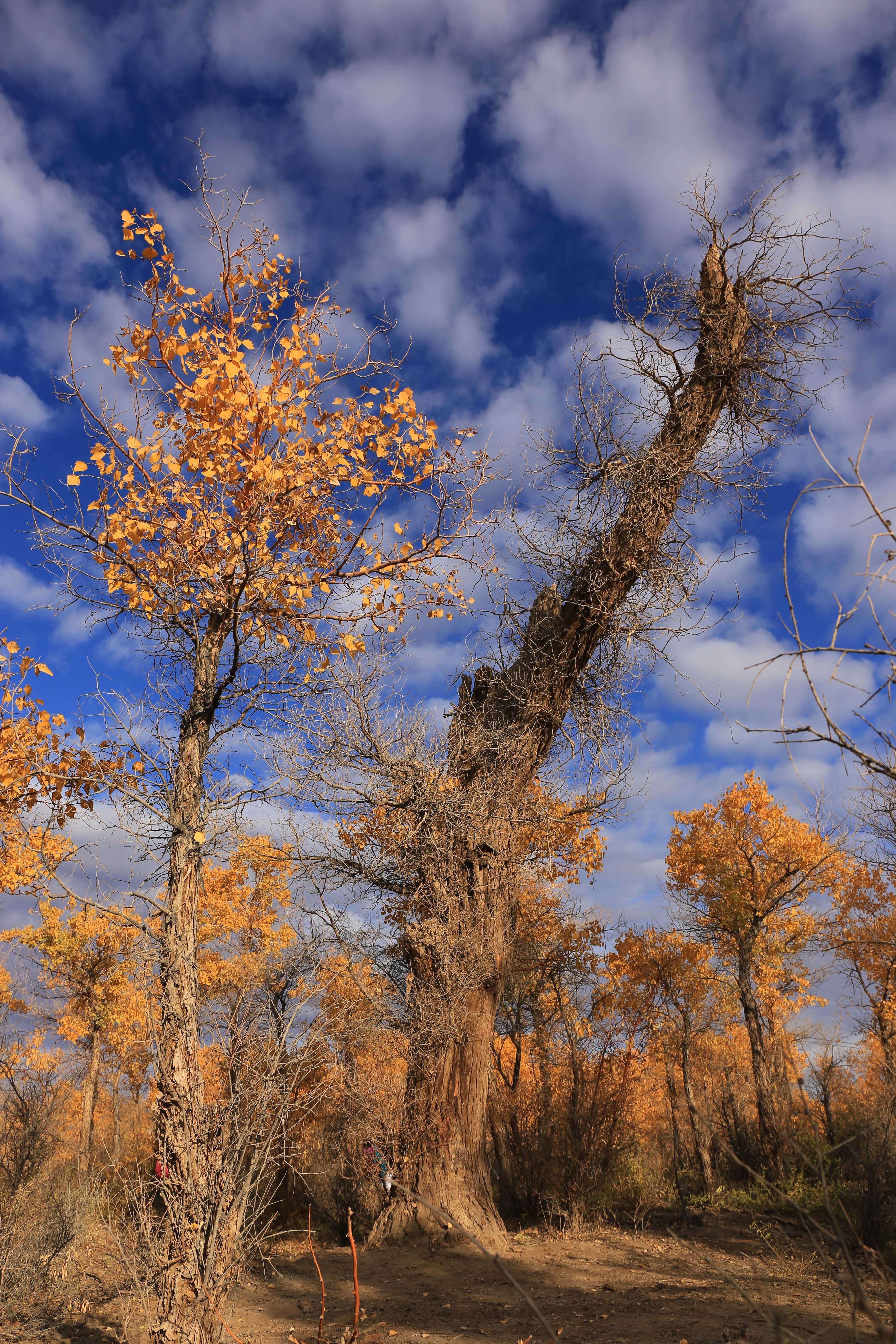 Du lich Trung Quoc anh 5