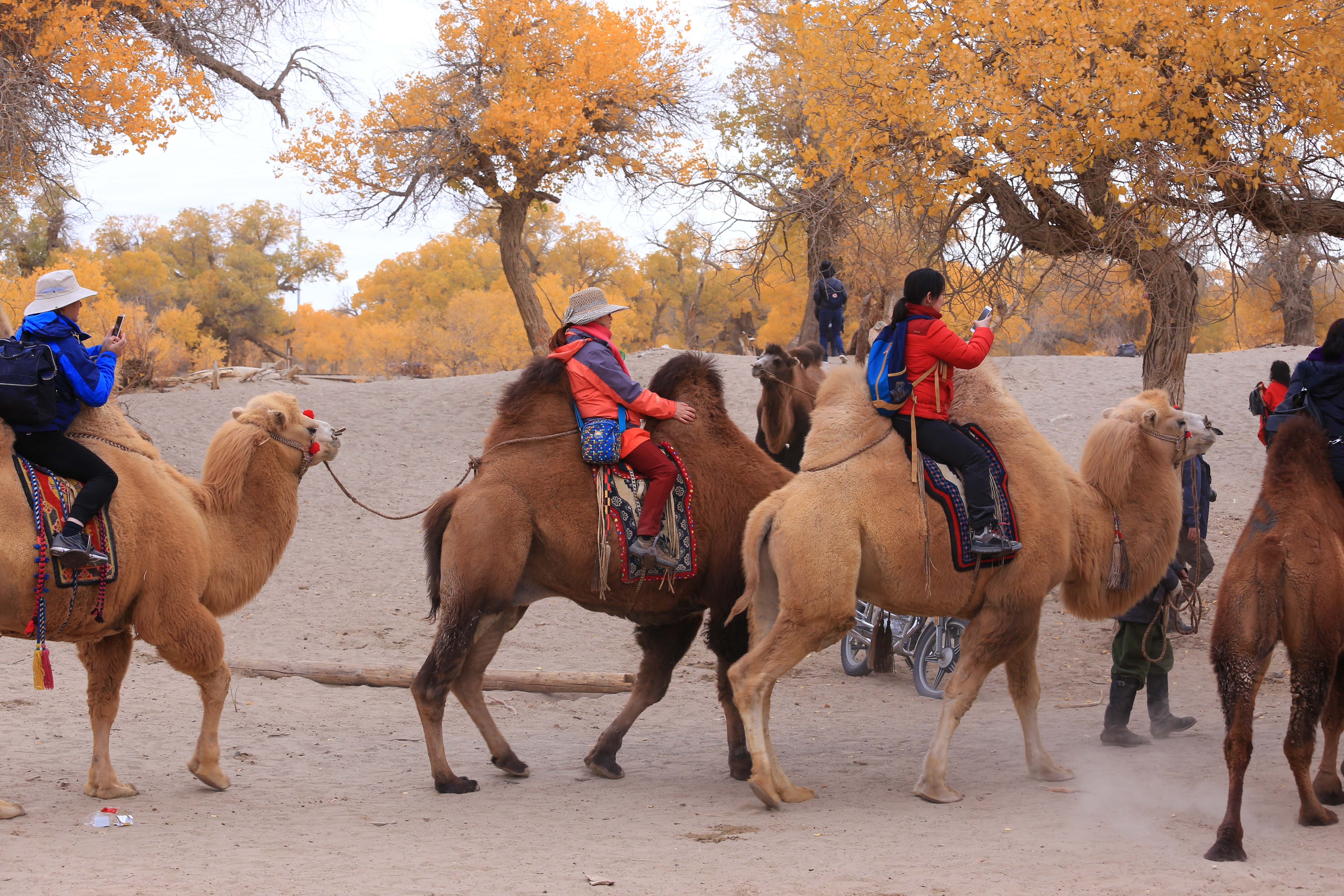 Du lich Trung Quoc anh 7