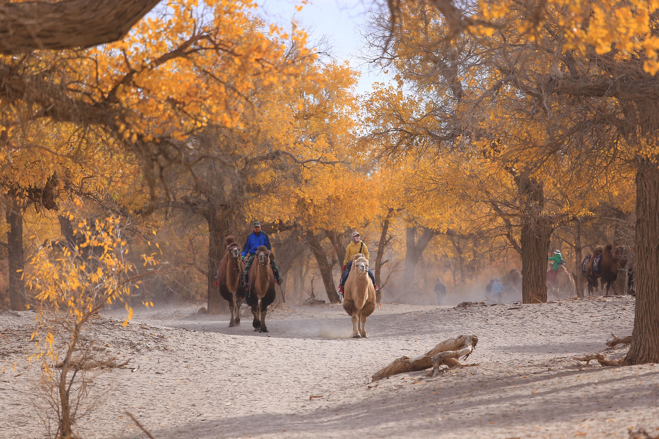 Du lich Trung Quoc anh 4