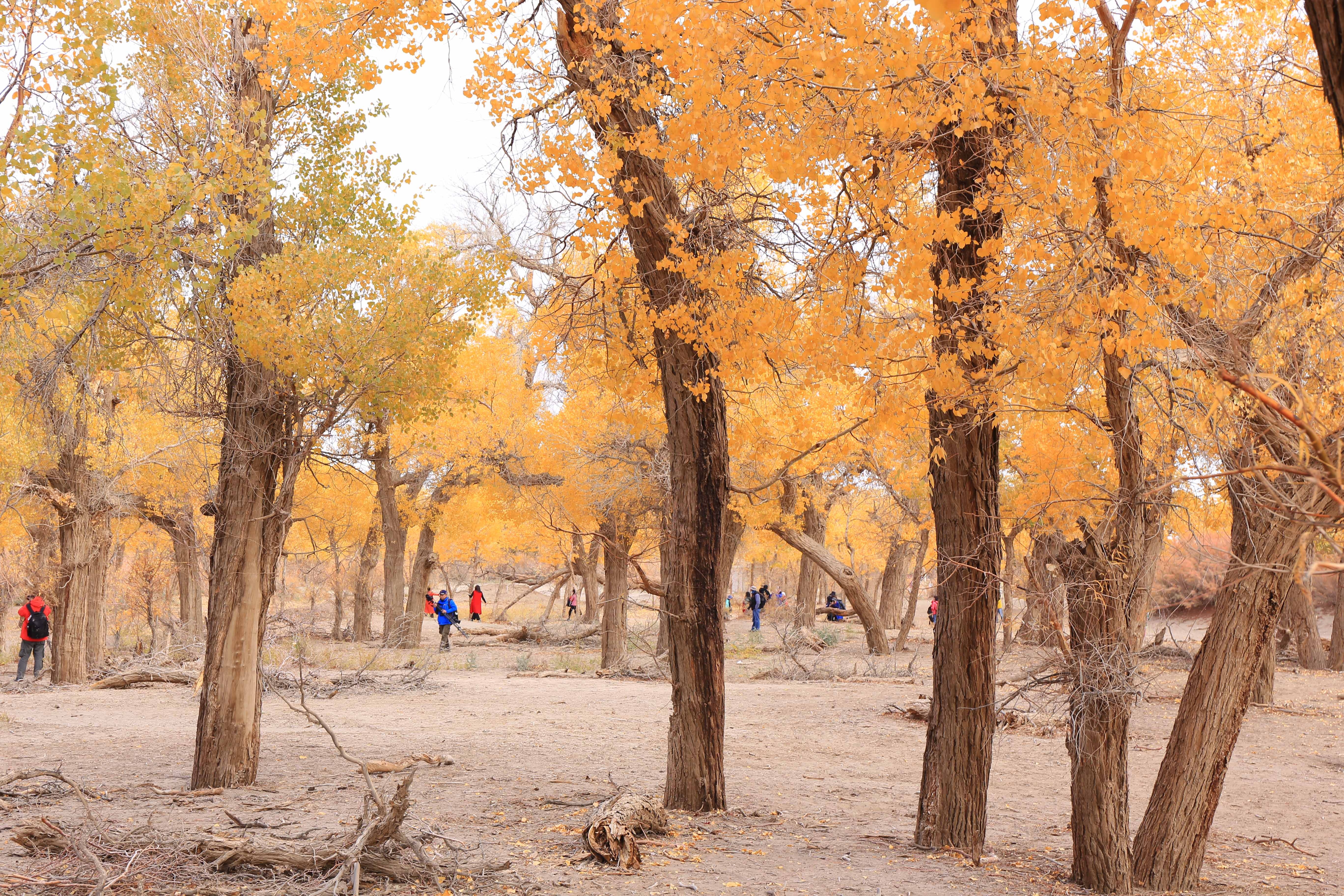 Du lich Trung Quoc anh 8