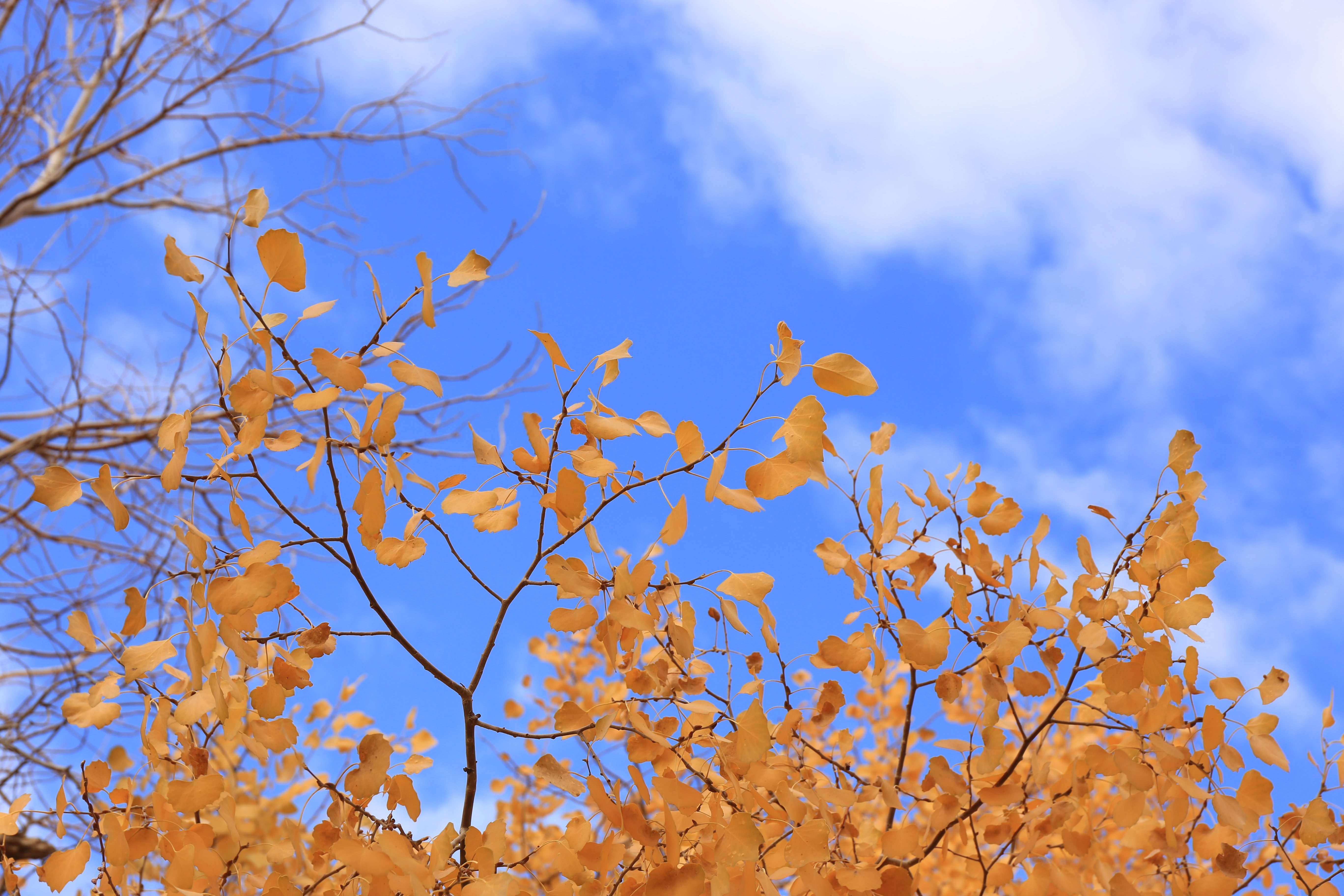 Du lich Trung Quoc anh 9