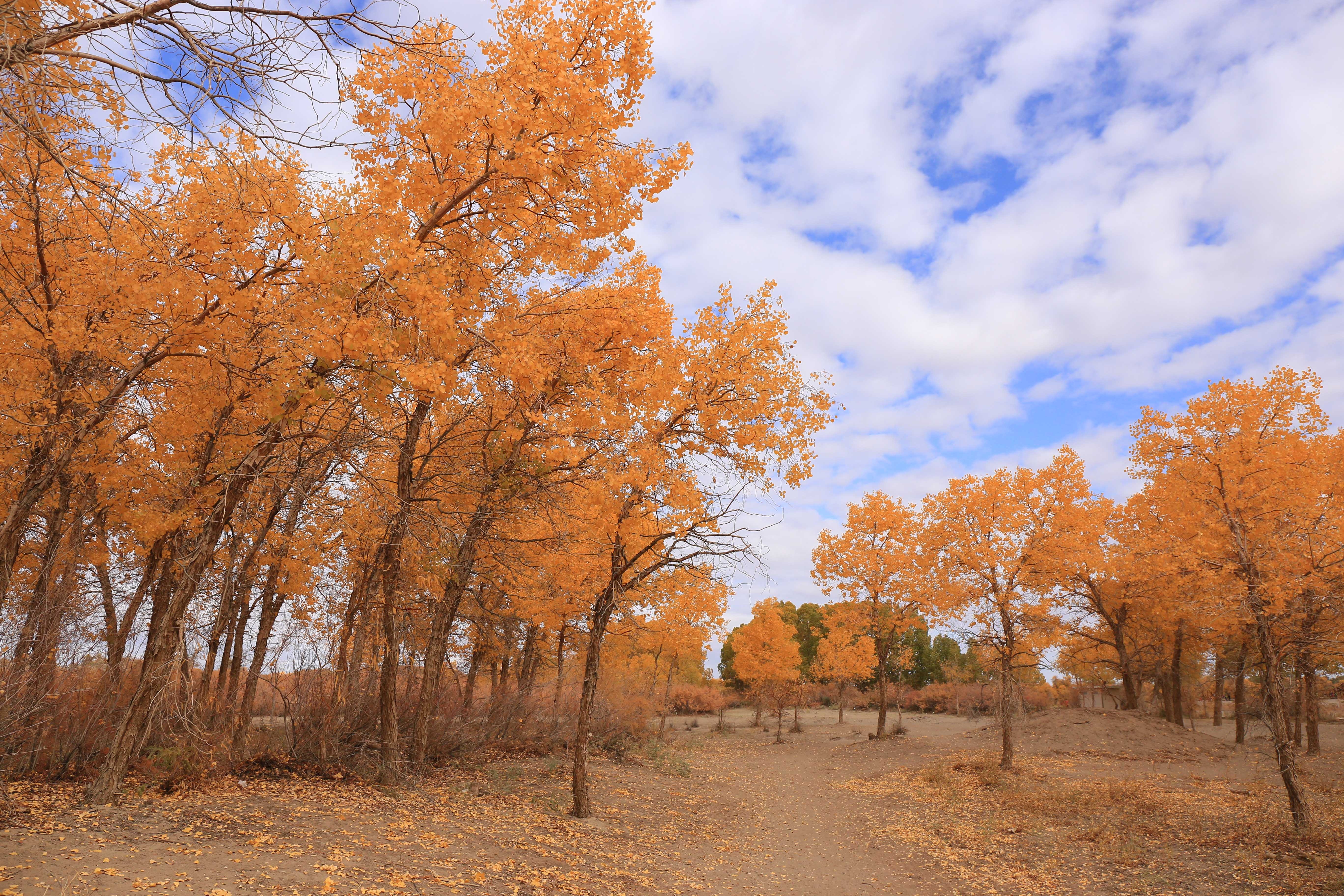 Du lich Trung Quoc anh 10