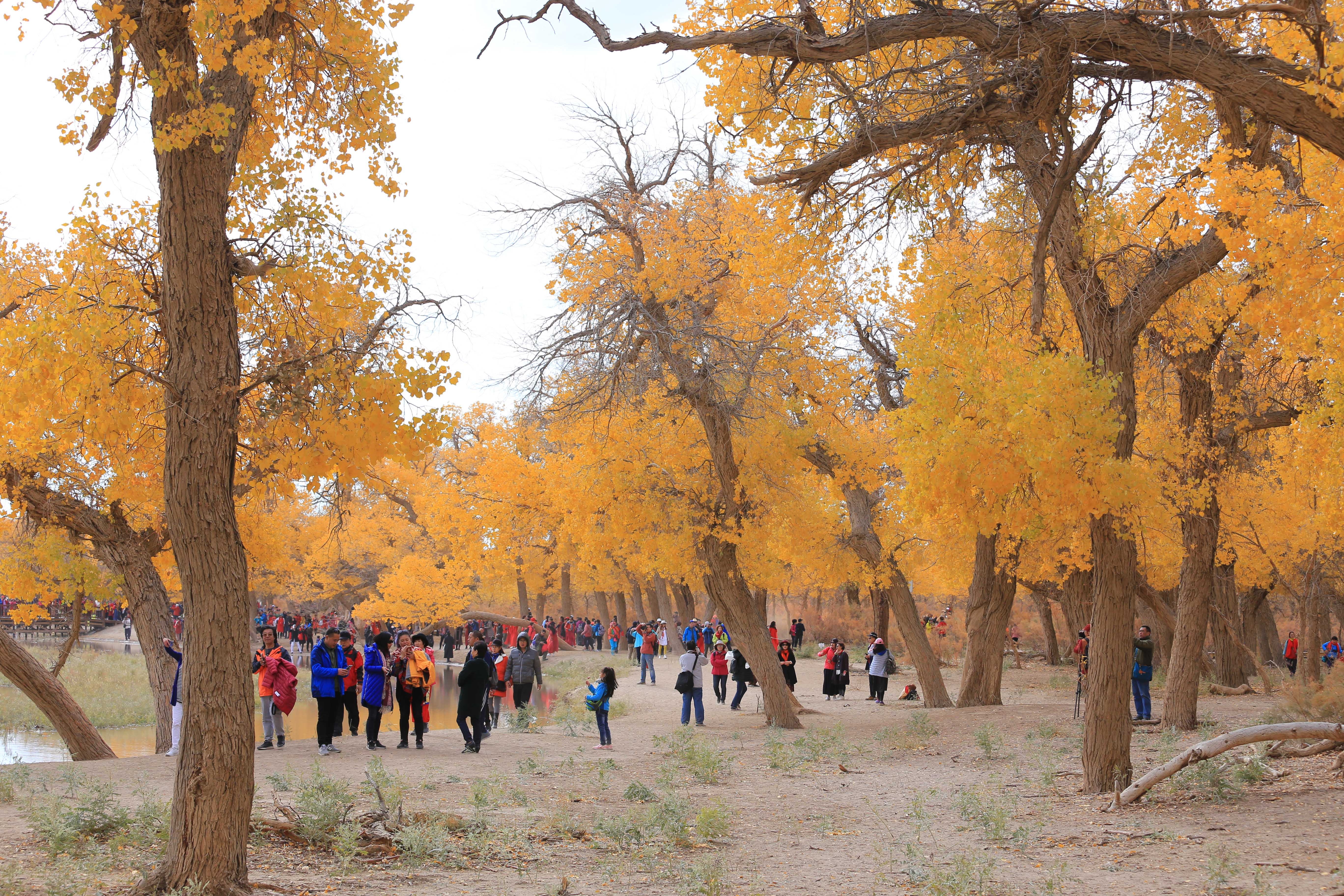 Du lich Trung Quoc anh 11