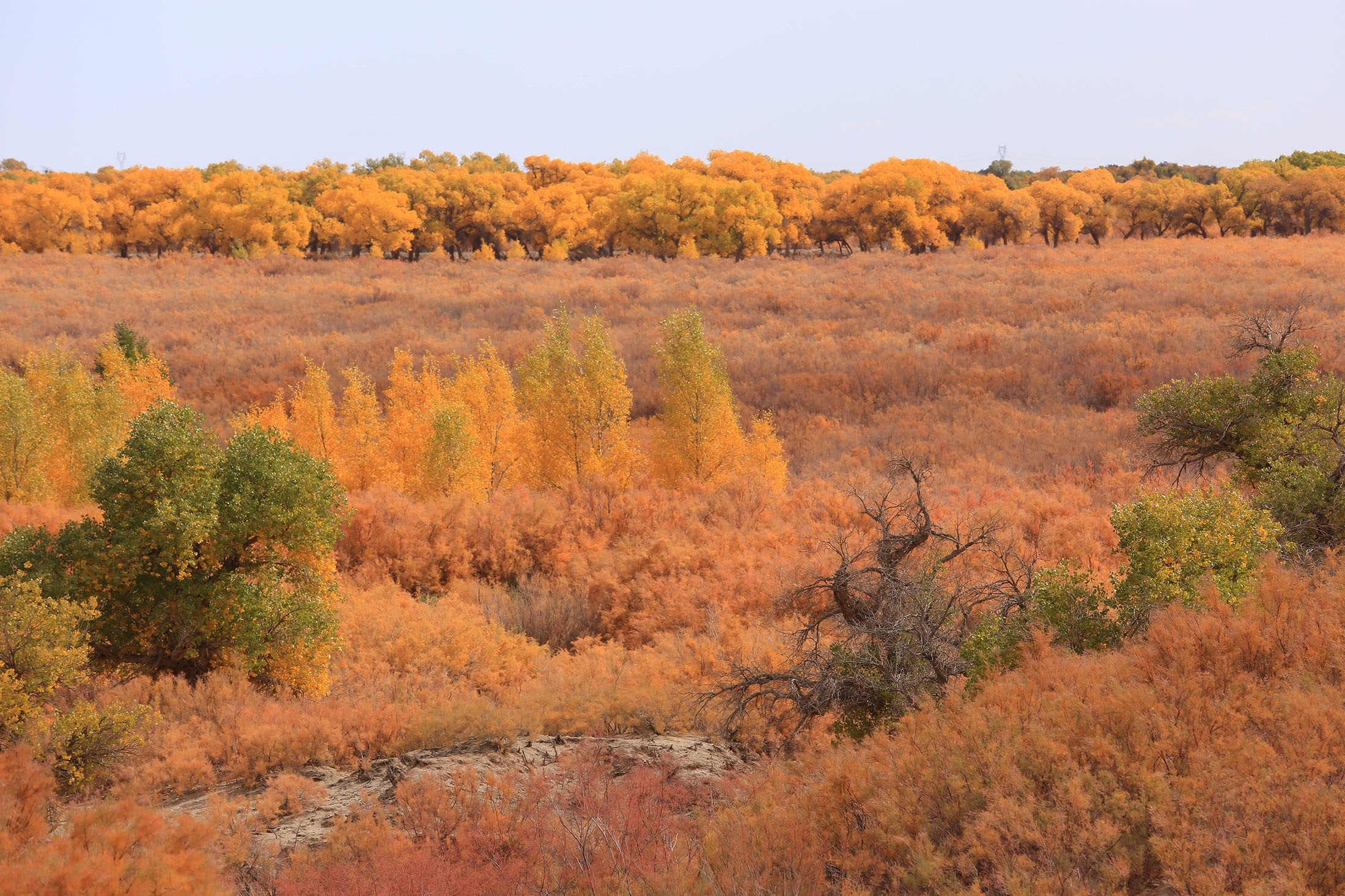 Du lich Trung Quoc anh 2