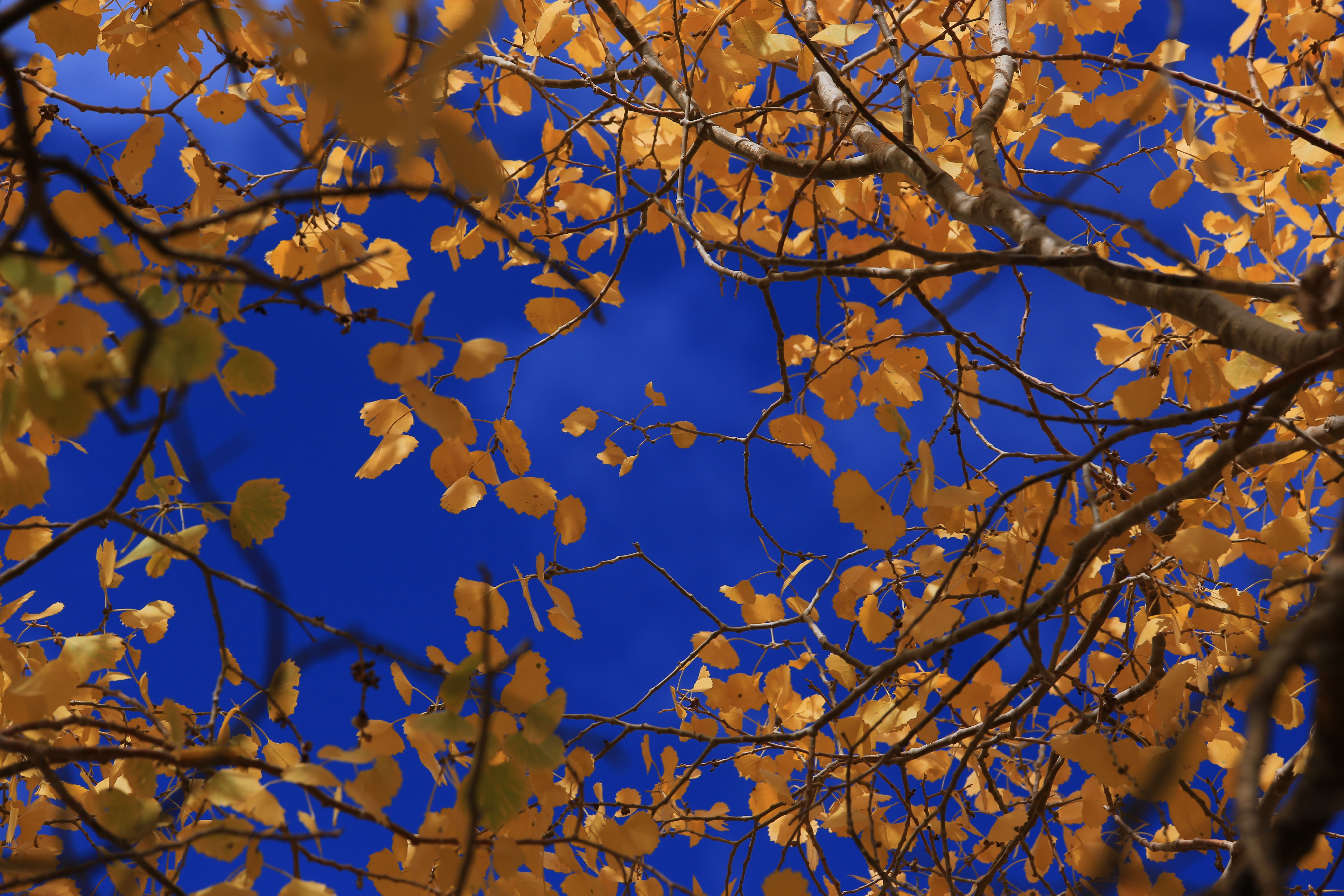 Du lich Trung Quoc anh 18