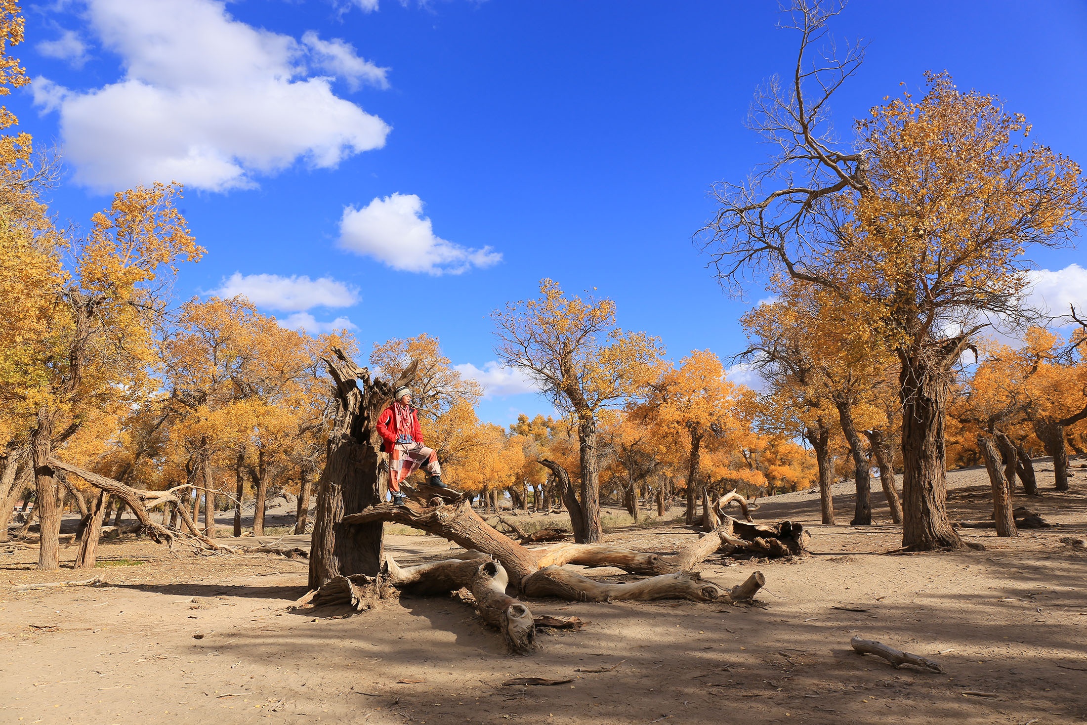 Du lich Trung Quoc anh 22