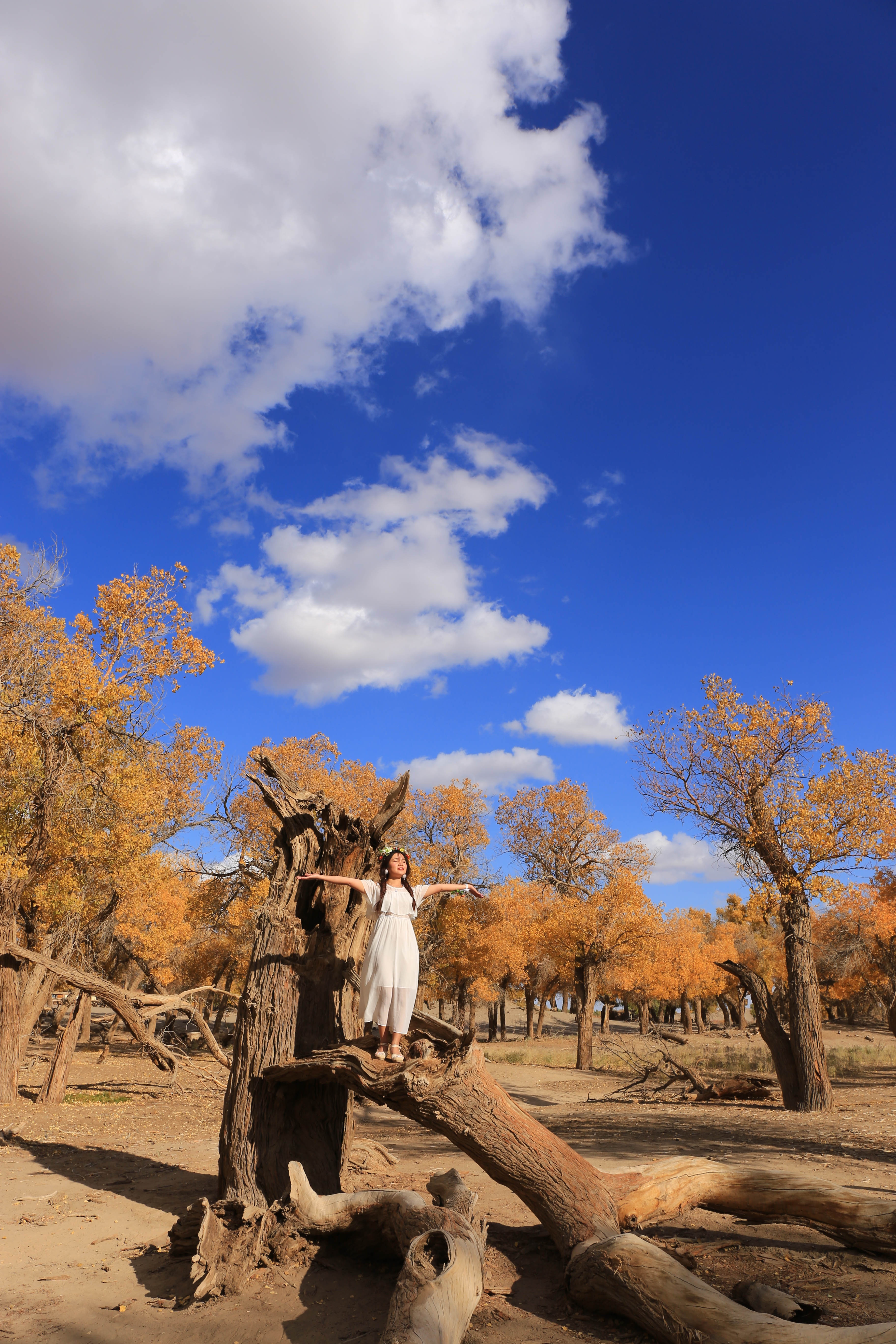 Du lich Trung Quoc anh 20