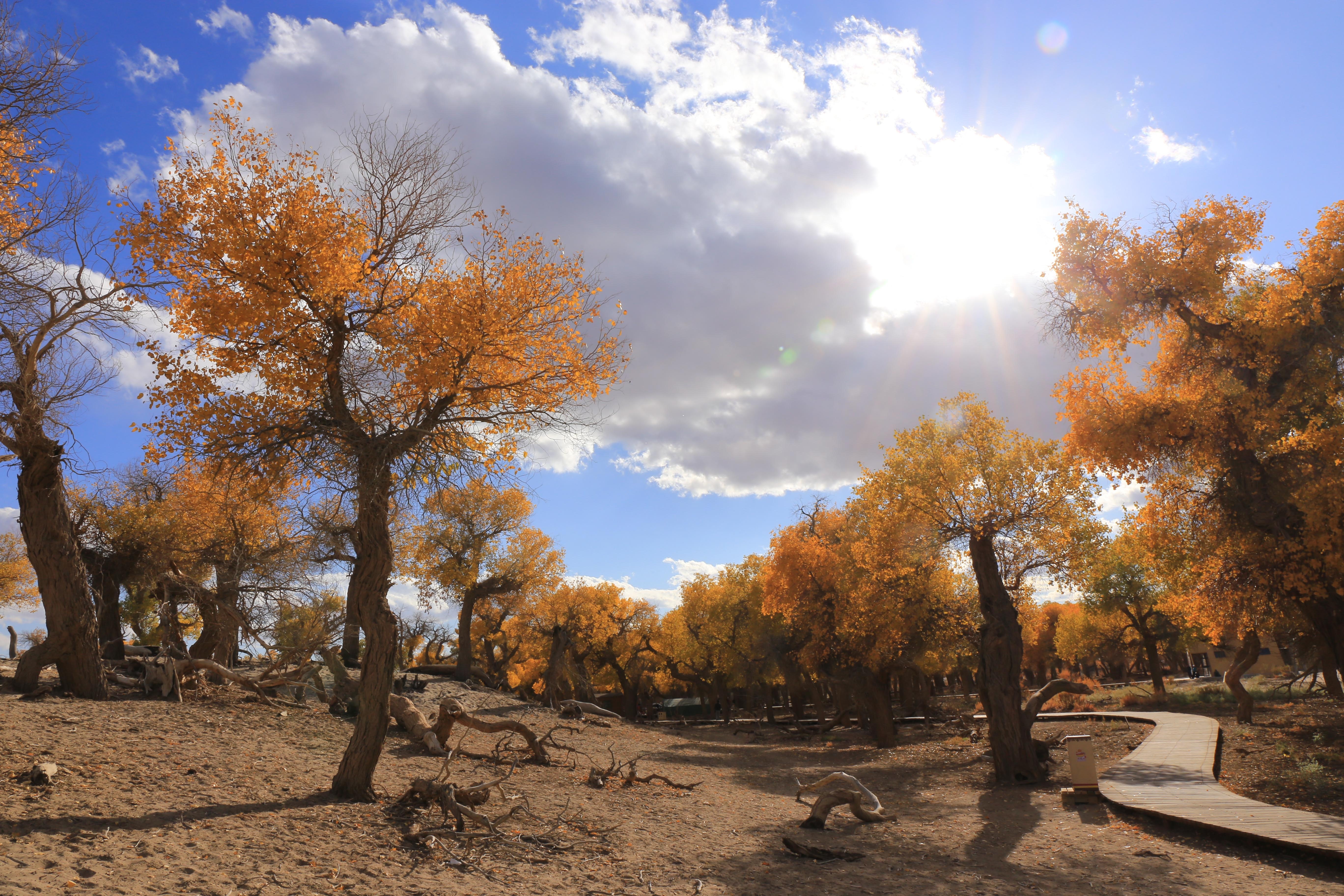 Du lich Trung Quoc anh 21