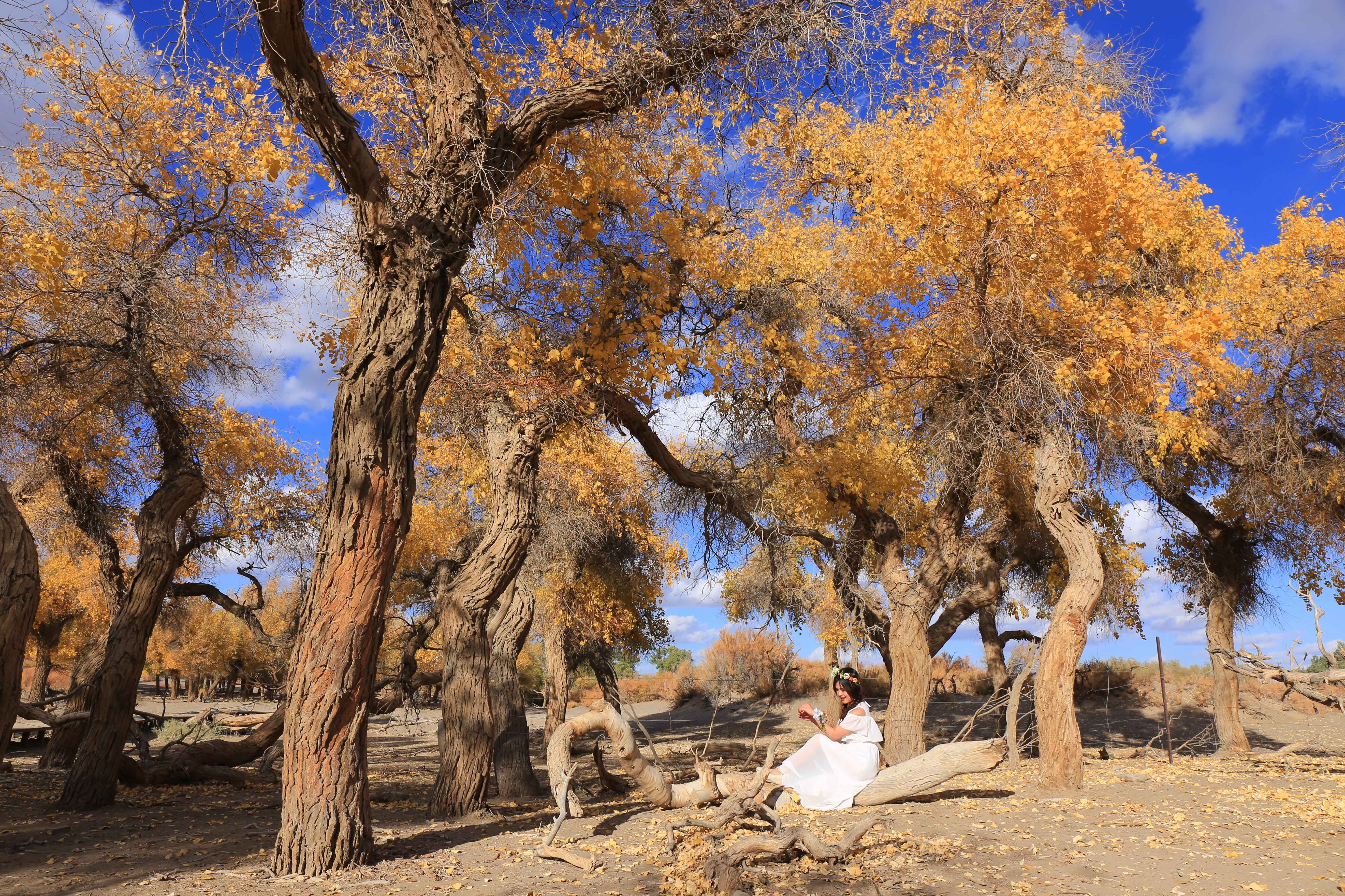 Du lich Trung Quoc anh 1