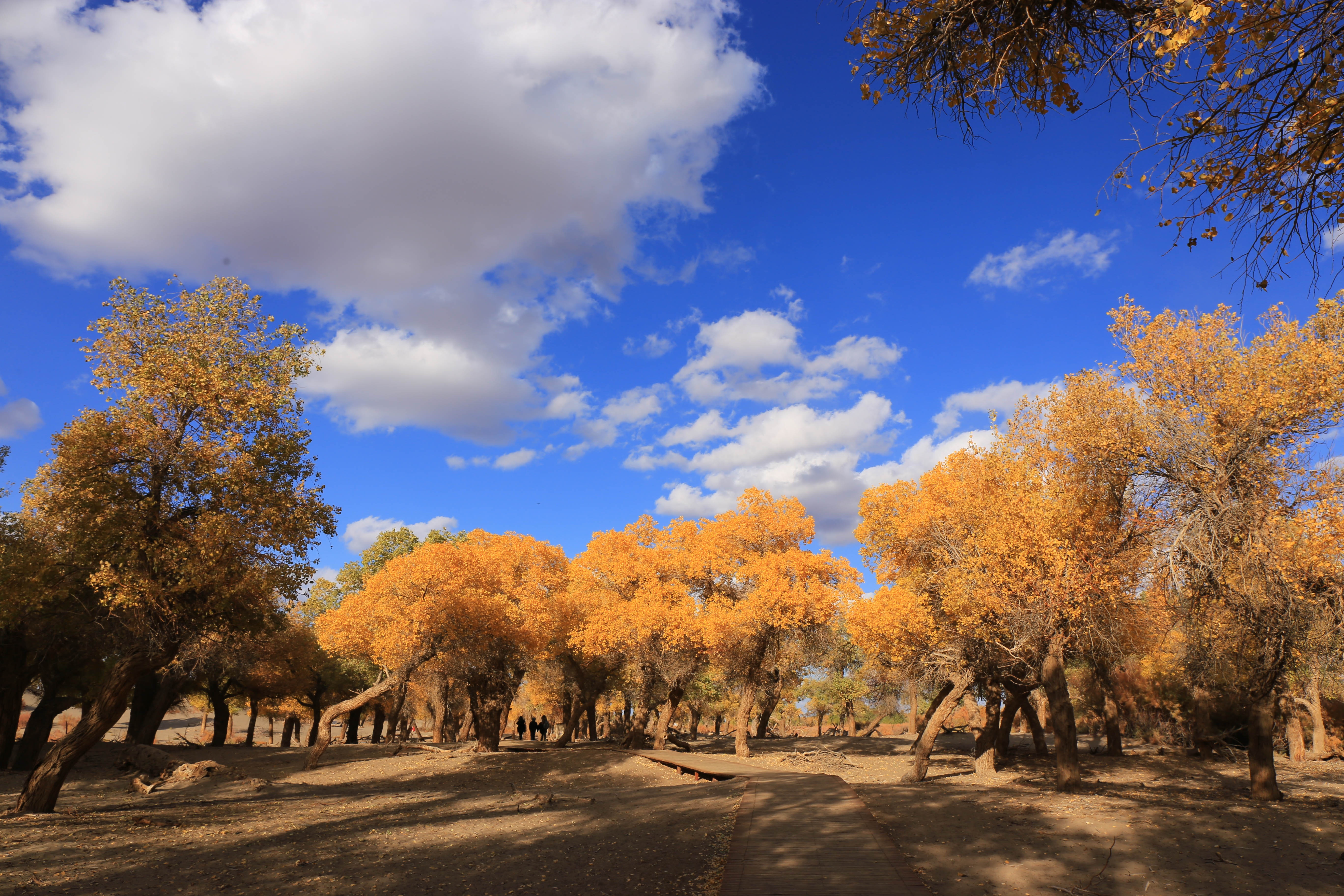 Du lich Trung Quoc anh 23