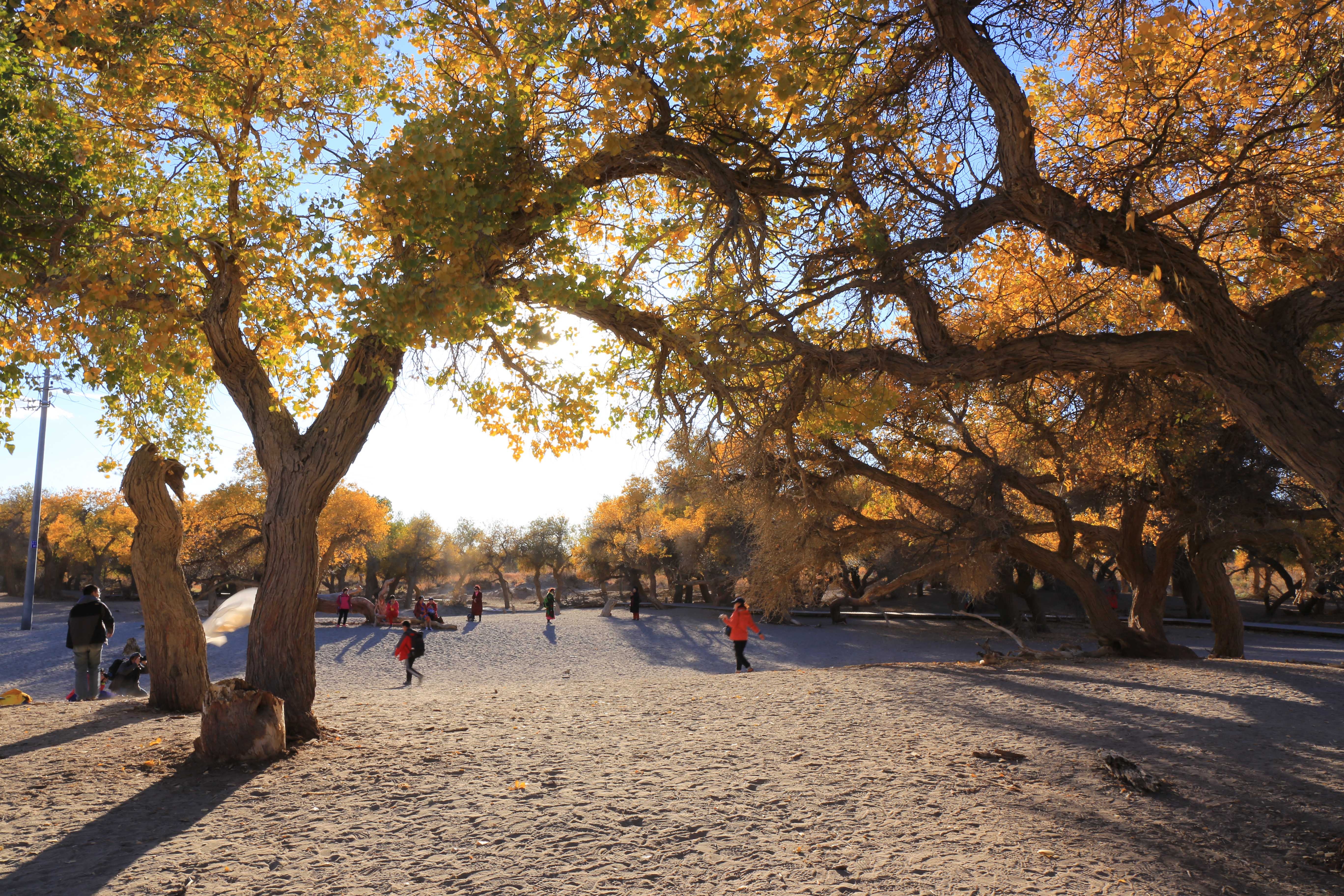 Du lich Trung Quoc anh 24