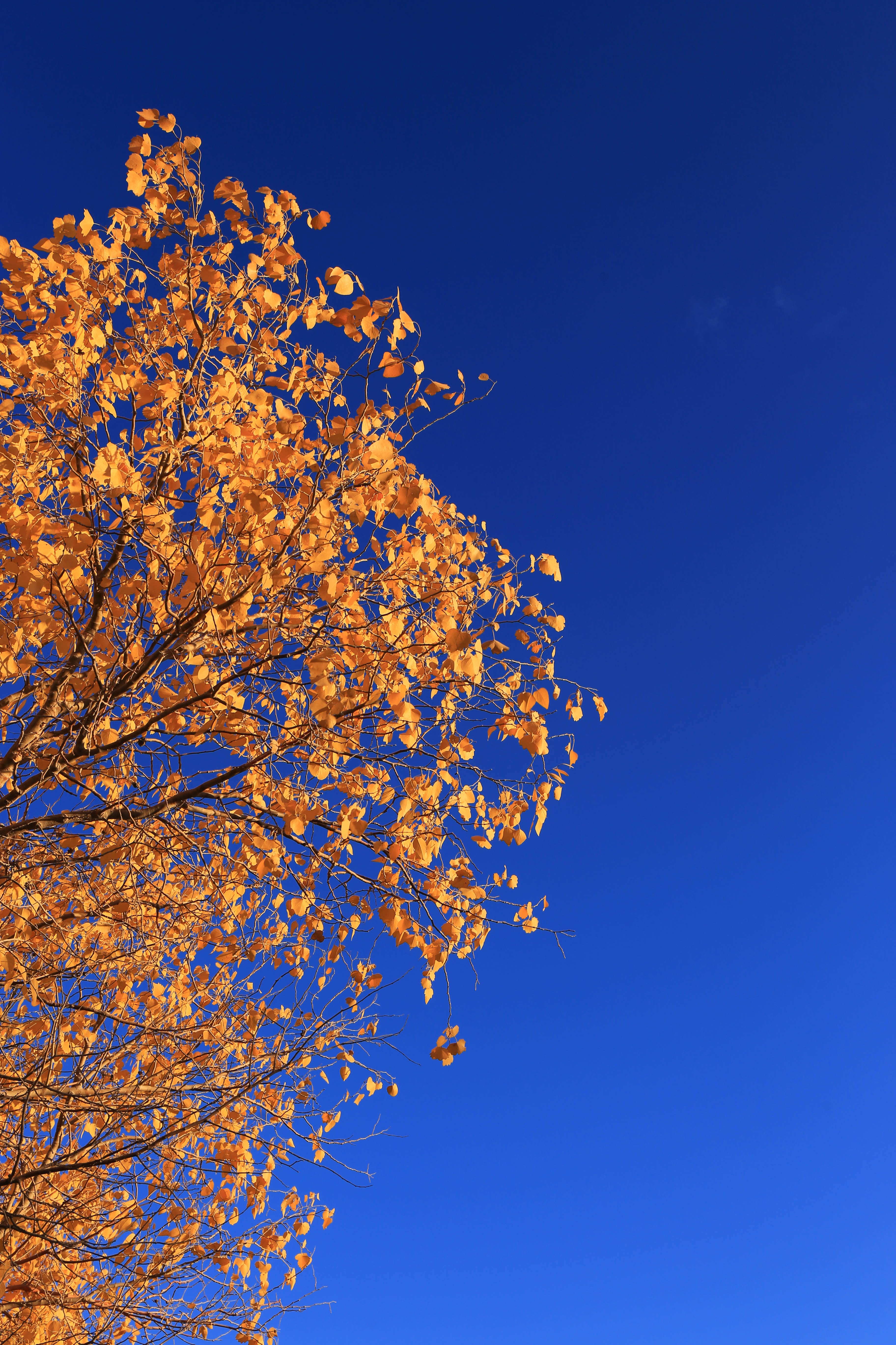 Du lich Trung Quoc anh 25