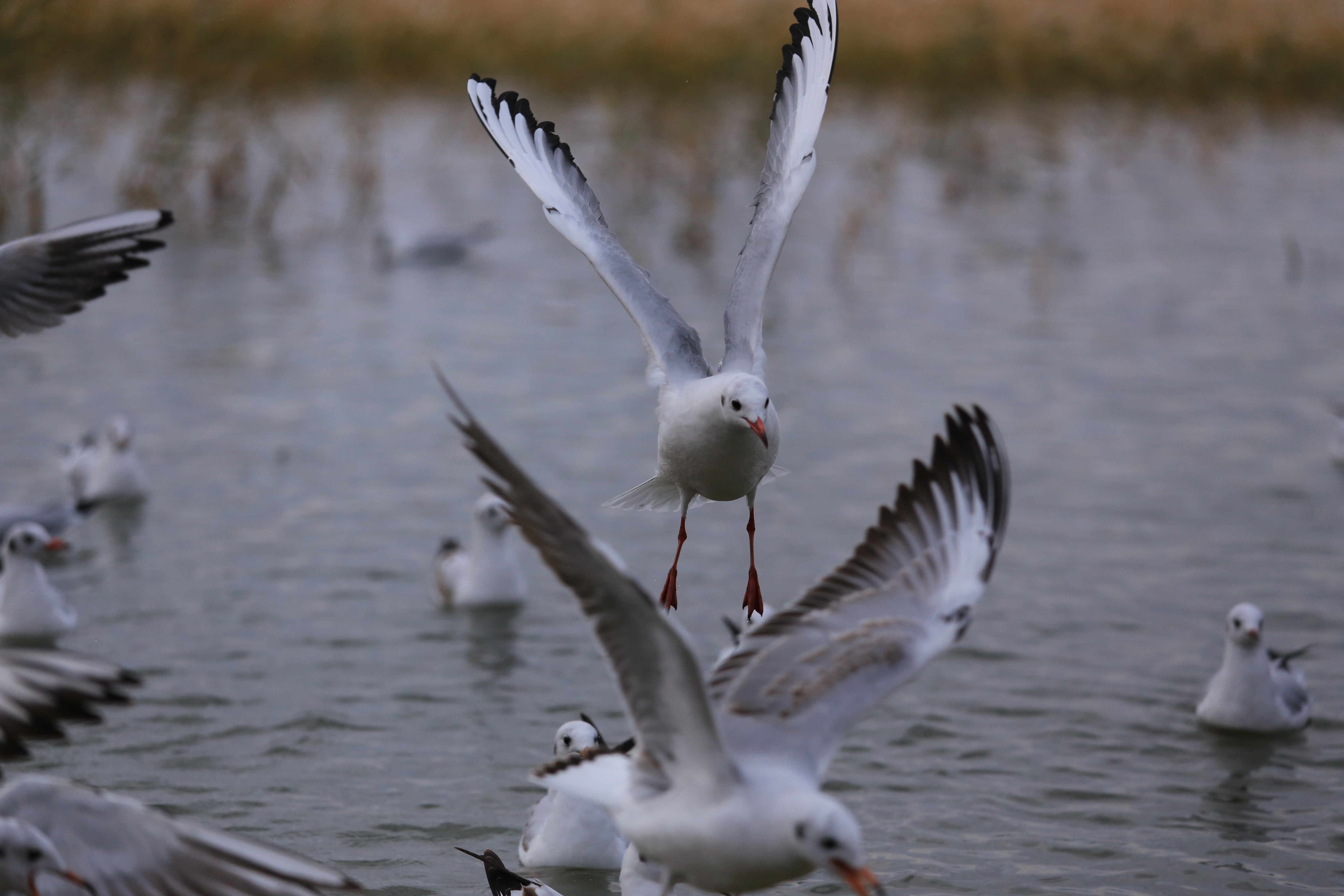 Du lich Trung Quoc anh 29