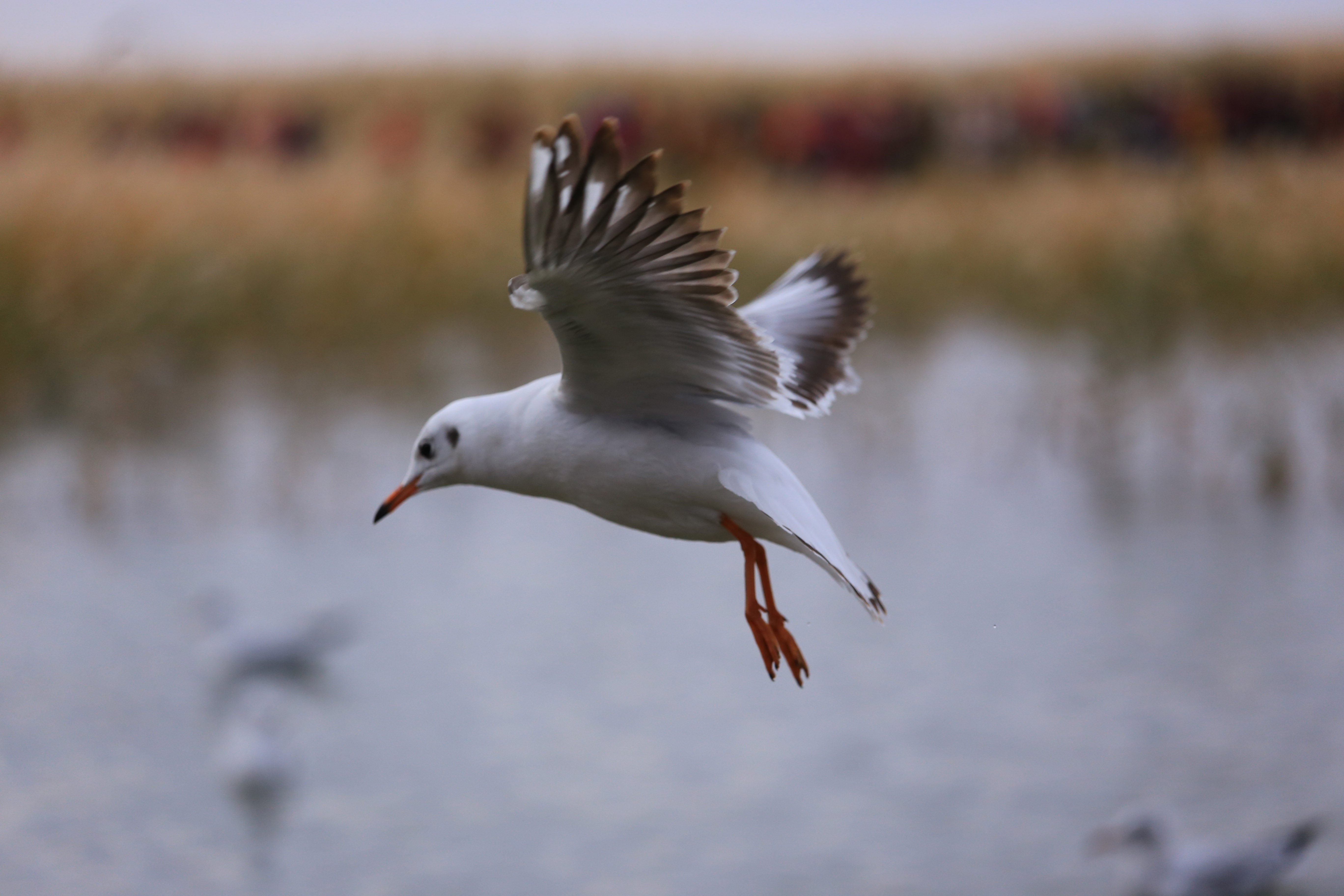 Du lich Trung Quoc anh 30