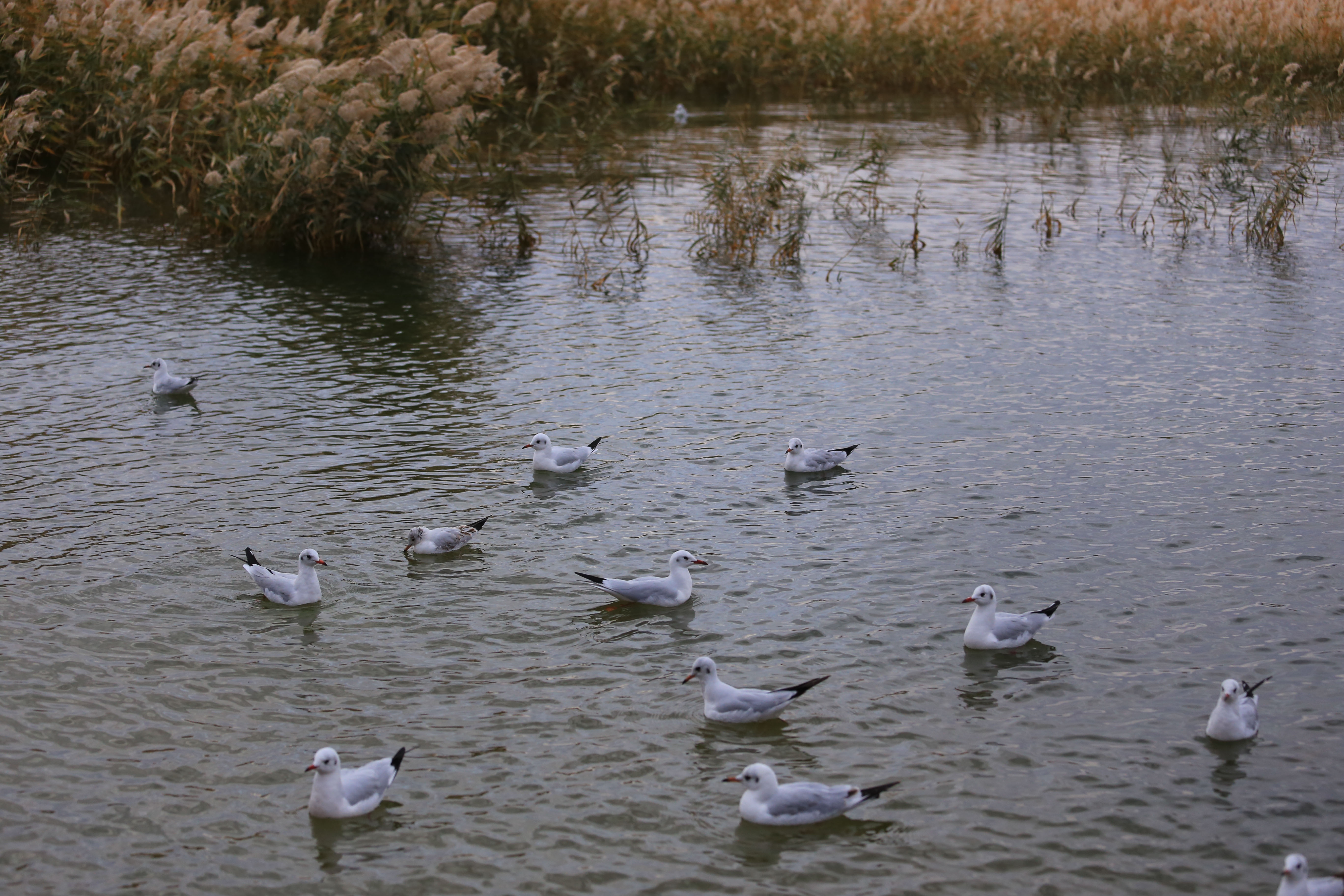 Du lich Trung Quoc anh 31