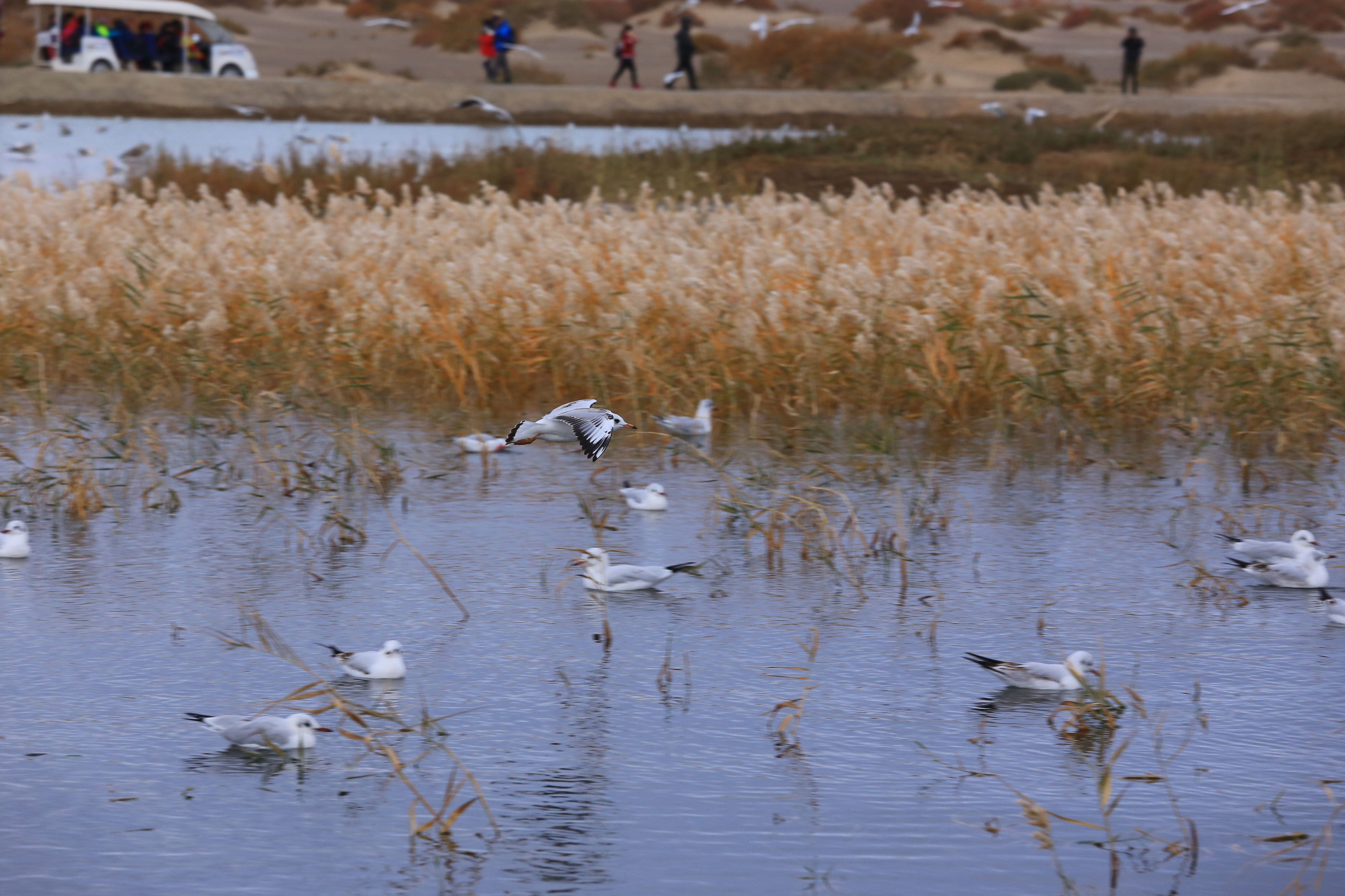 Du lich Trung Quoc anh 33