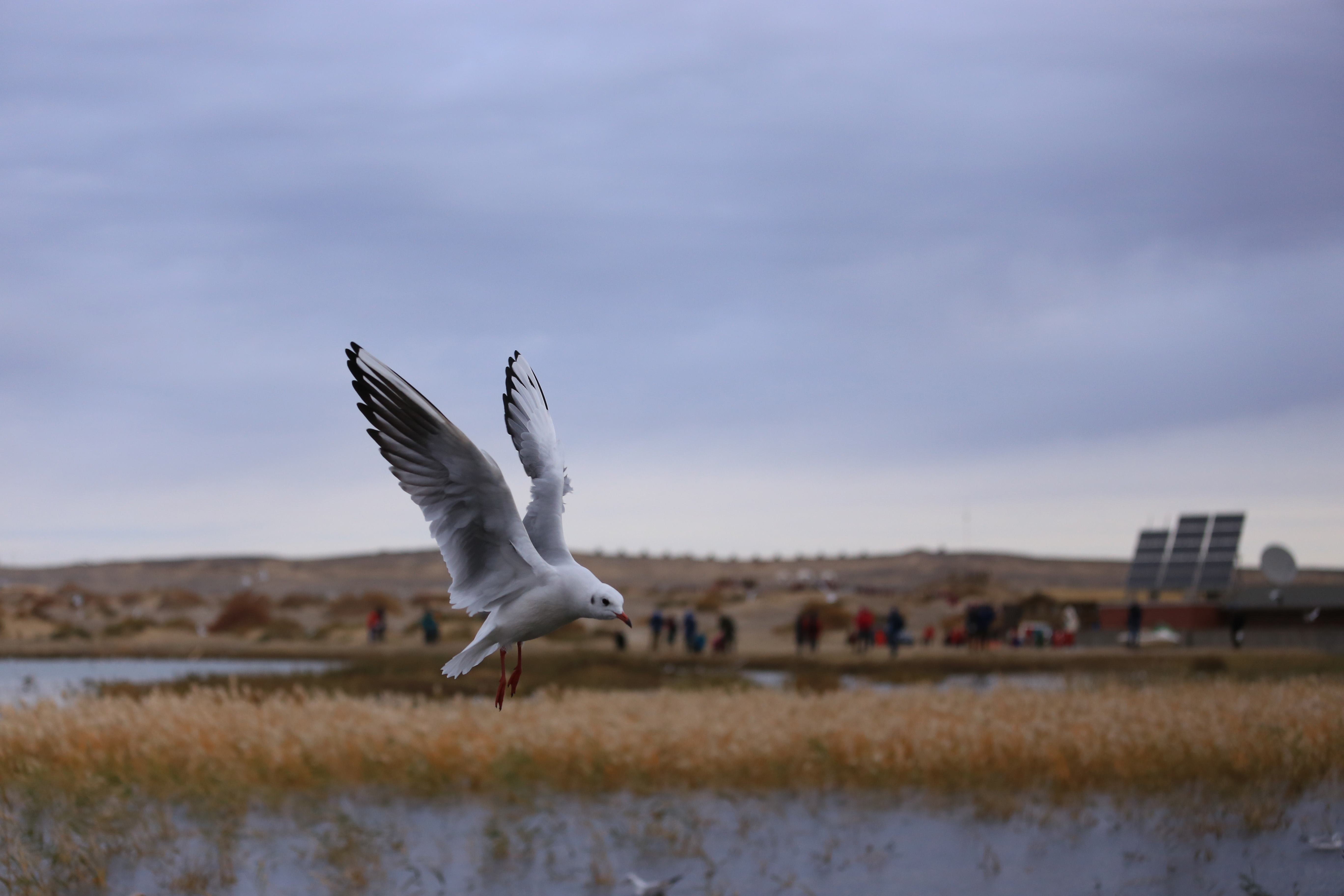 Du lich Trung Quoc anh 36