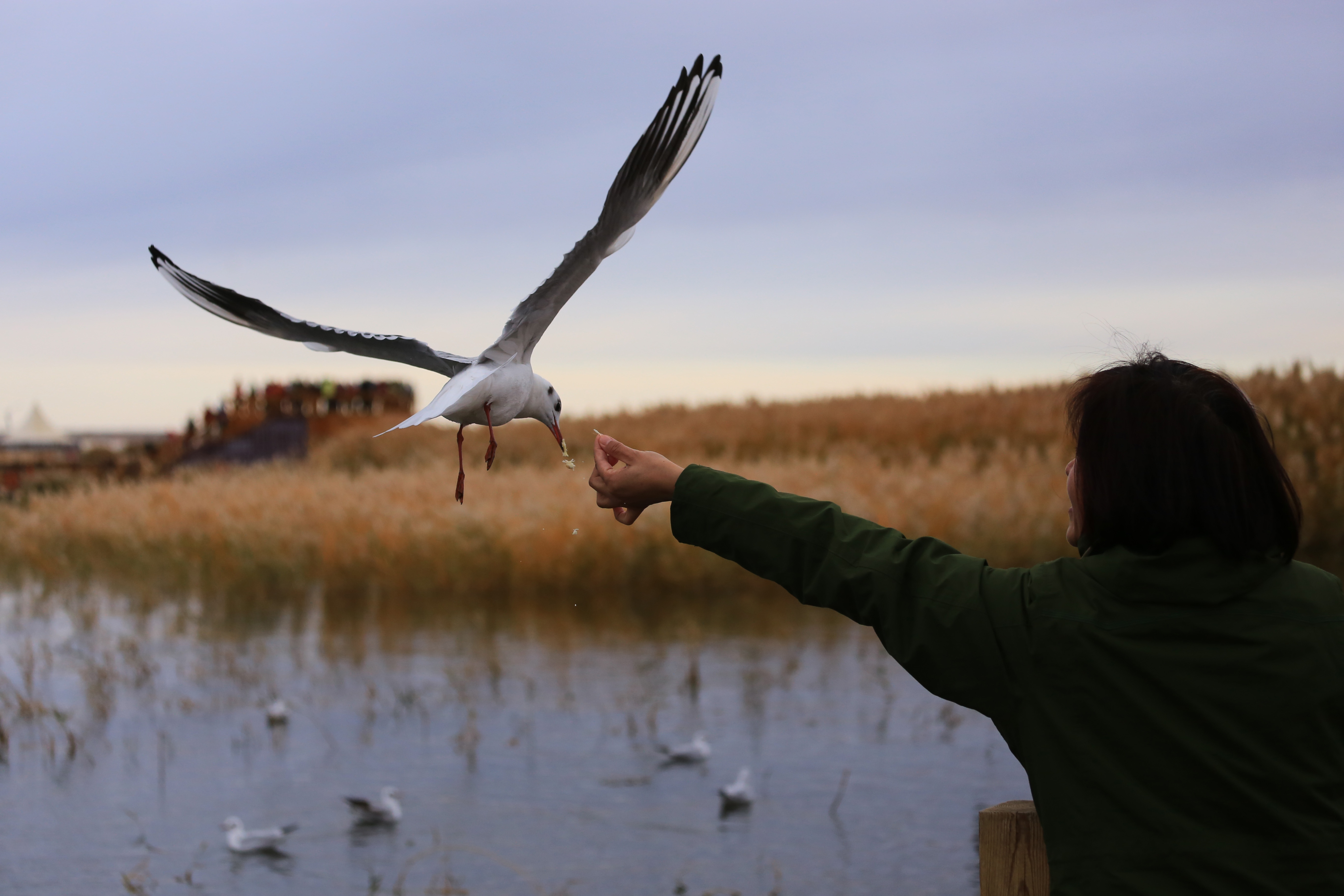 Du lich Trung Quoc anh 37
